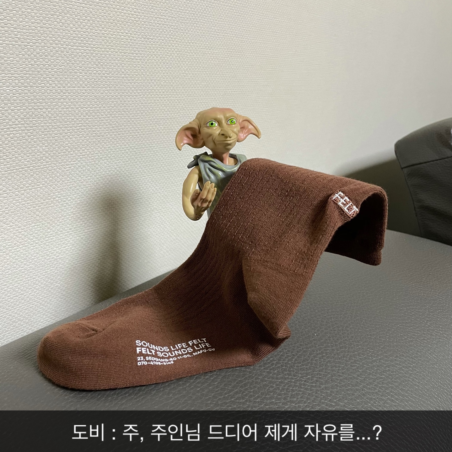 🐒:도비는 이제 자ㅇ...