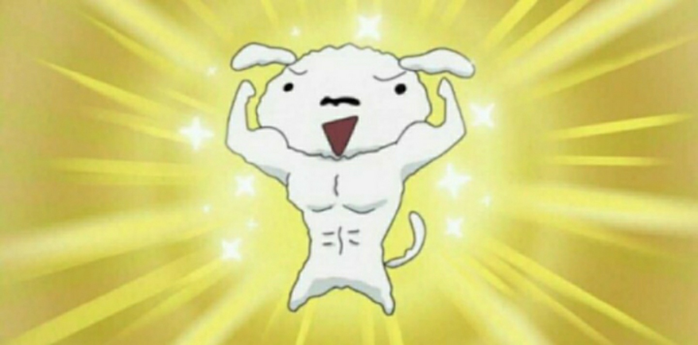흰둥이😂