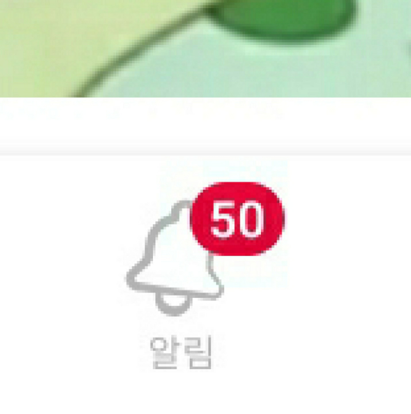 알림