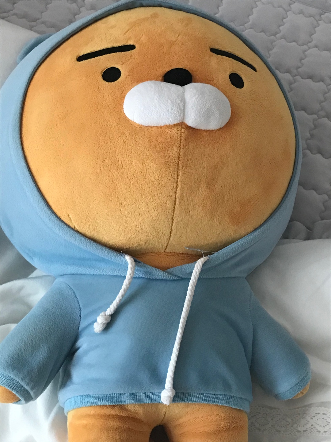 후드라이언