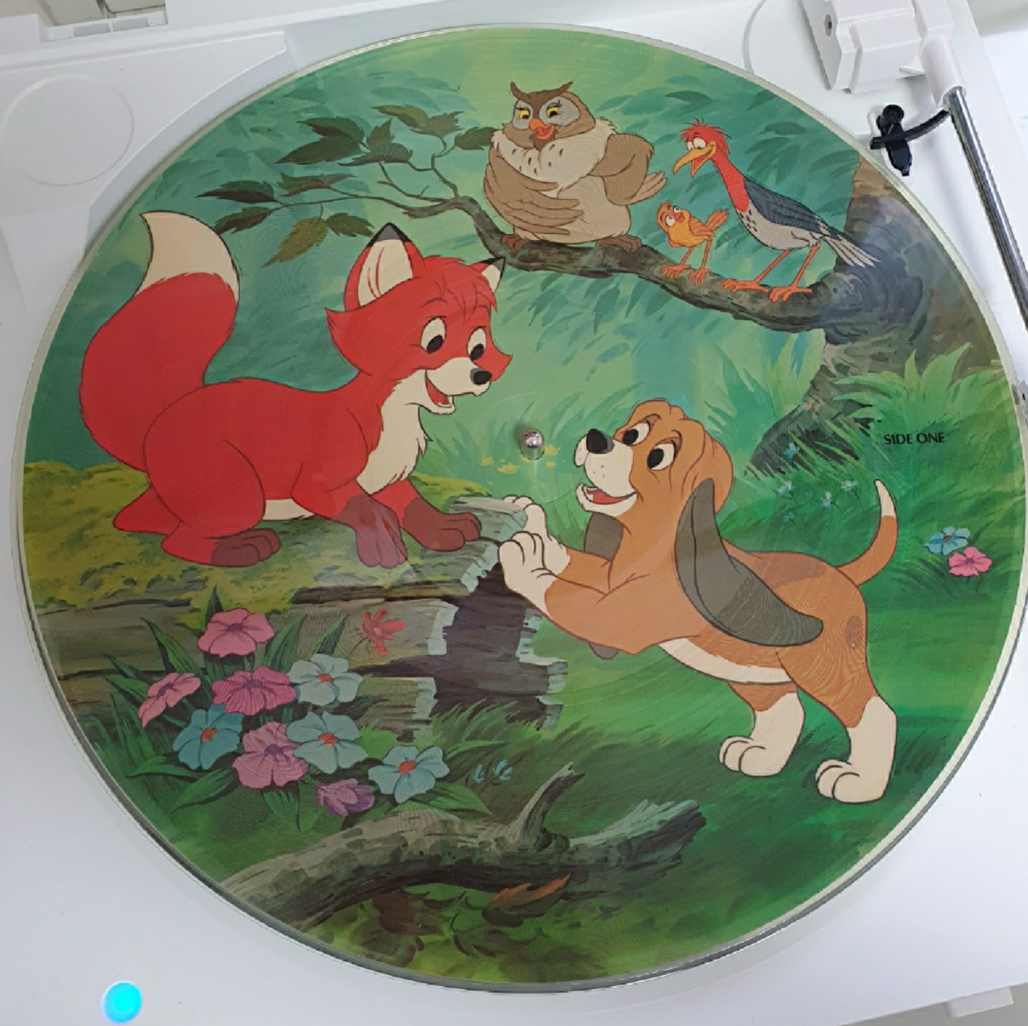 THE FOX AND THE HOUND