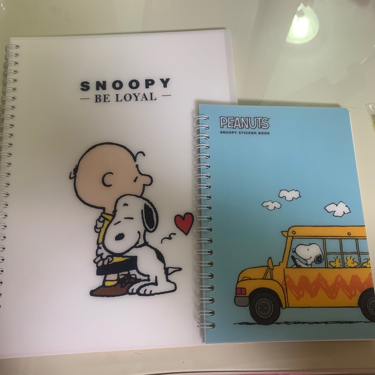 피너츠 노트들