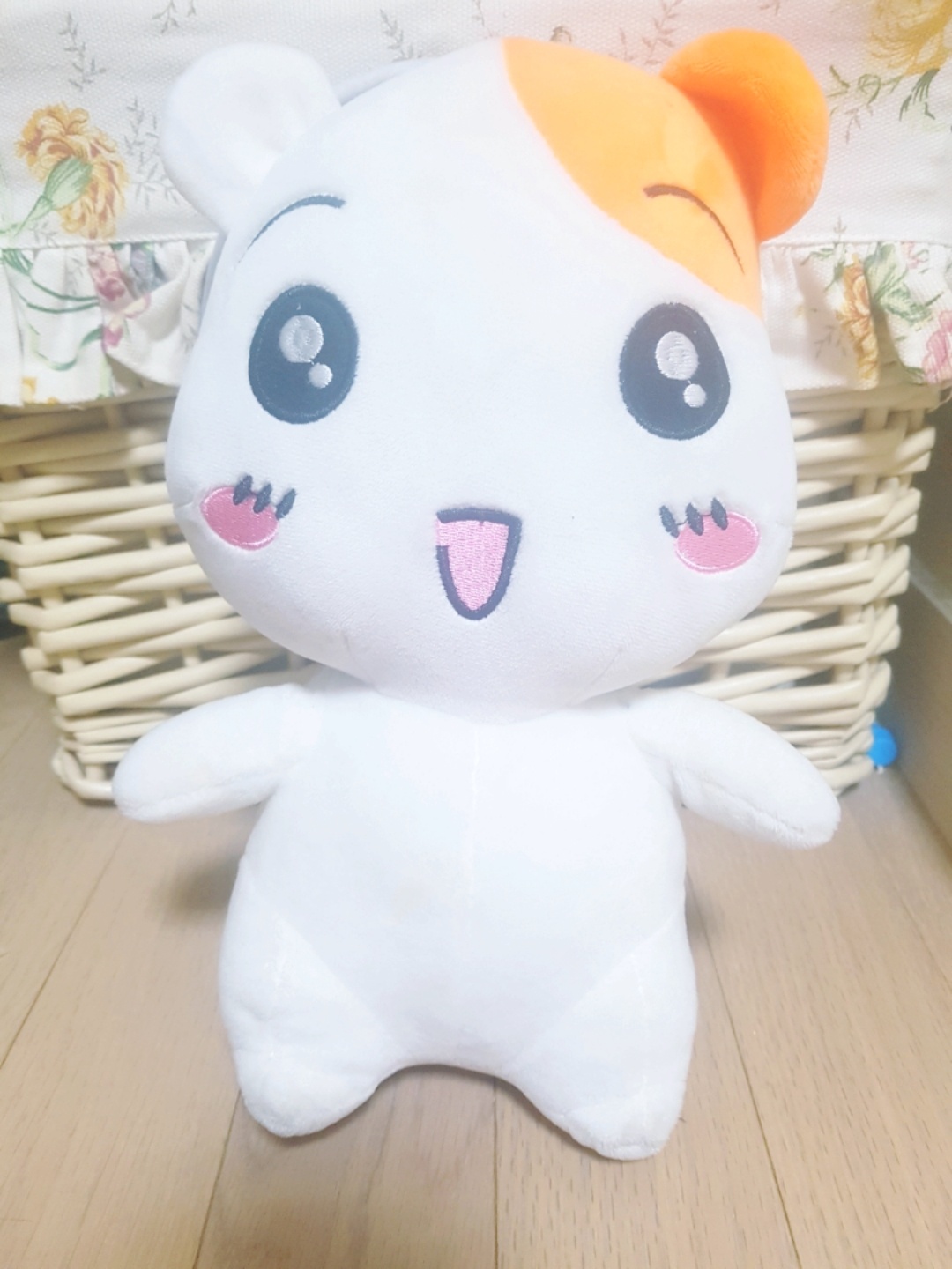 에피츄 햄스터