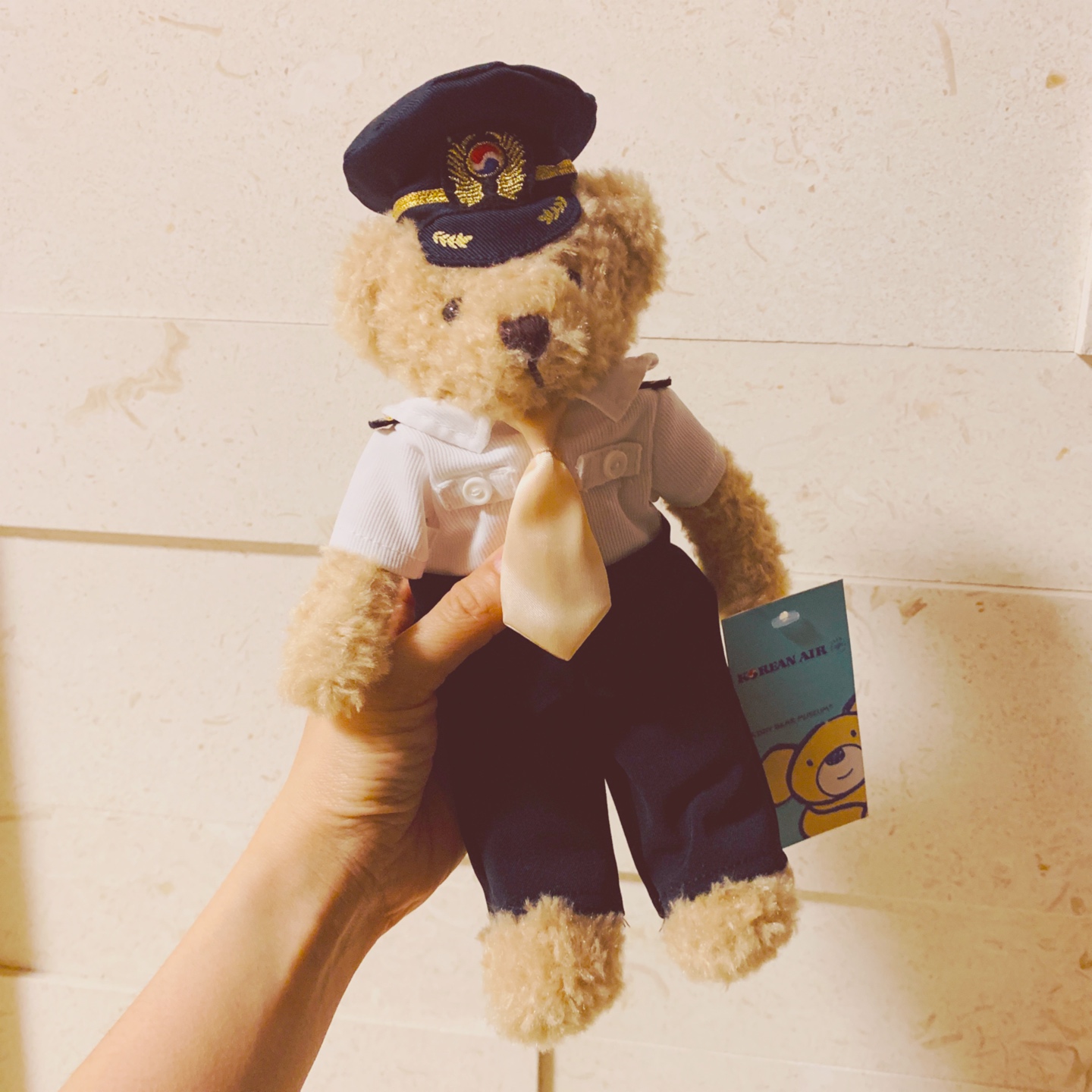 ✈️