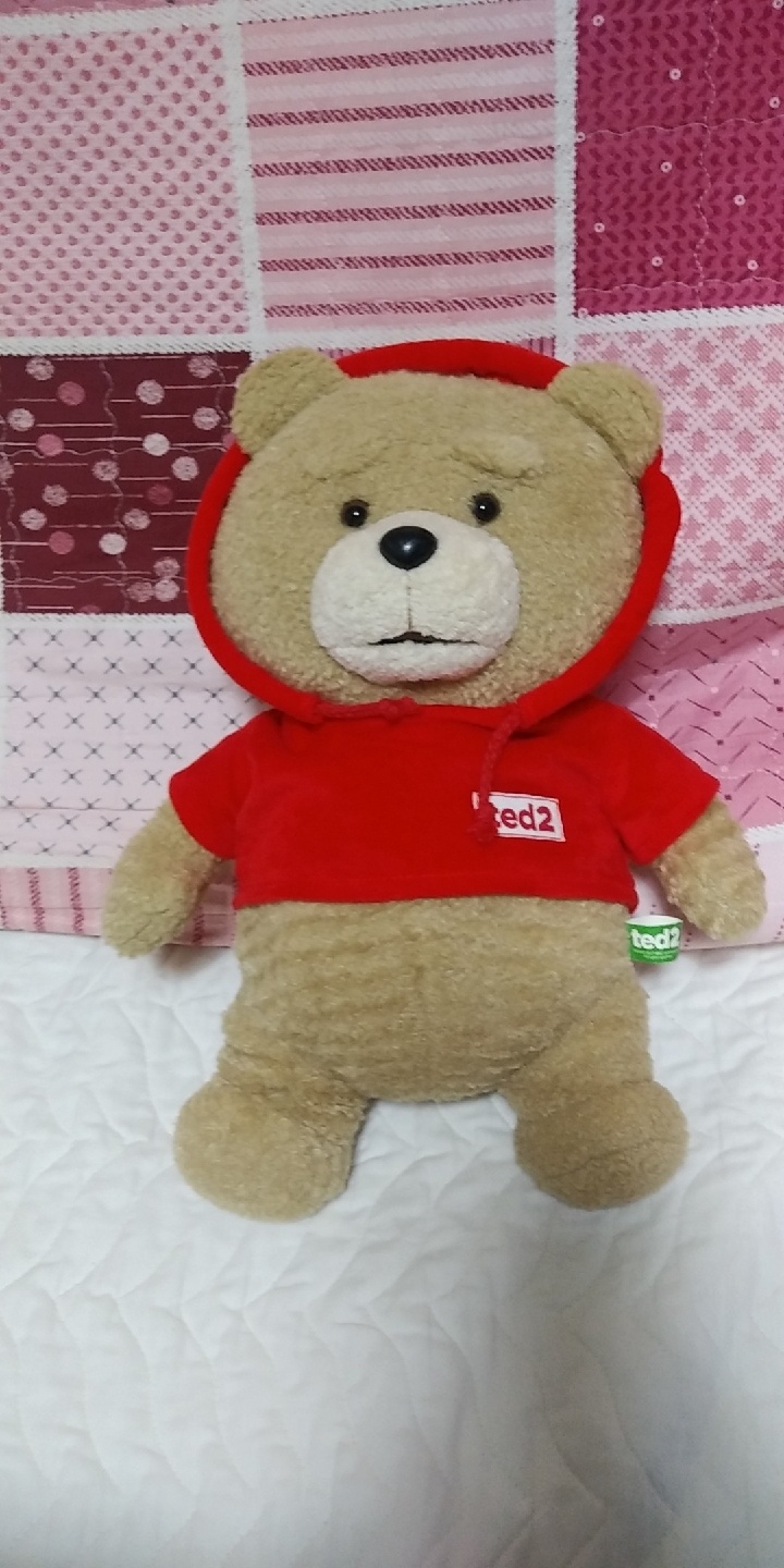 🐻19곰 테드🐻