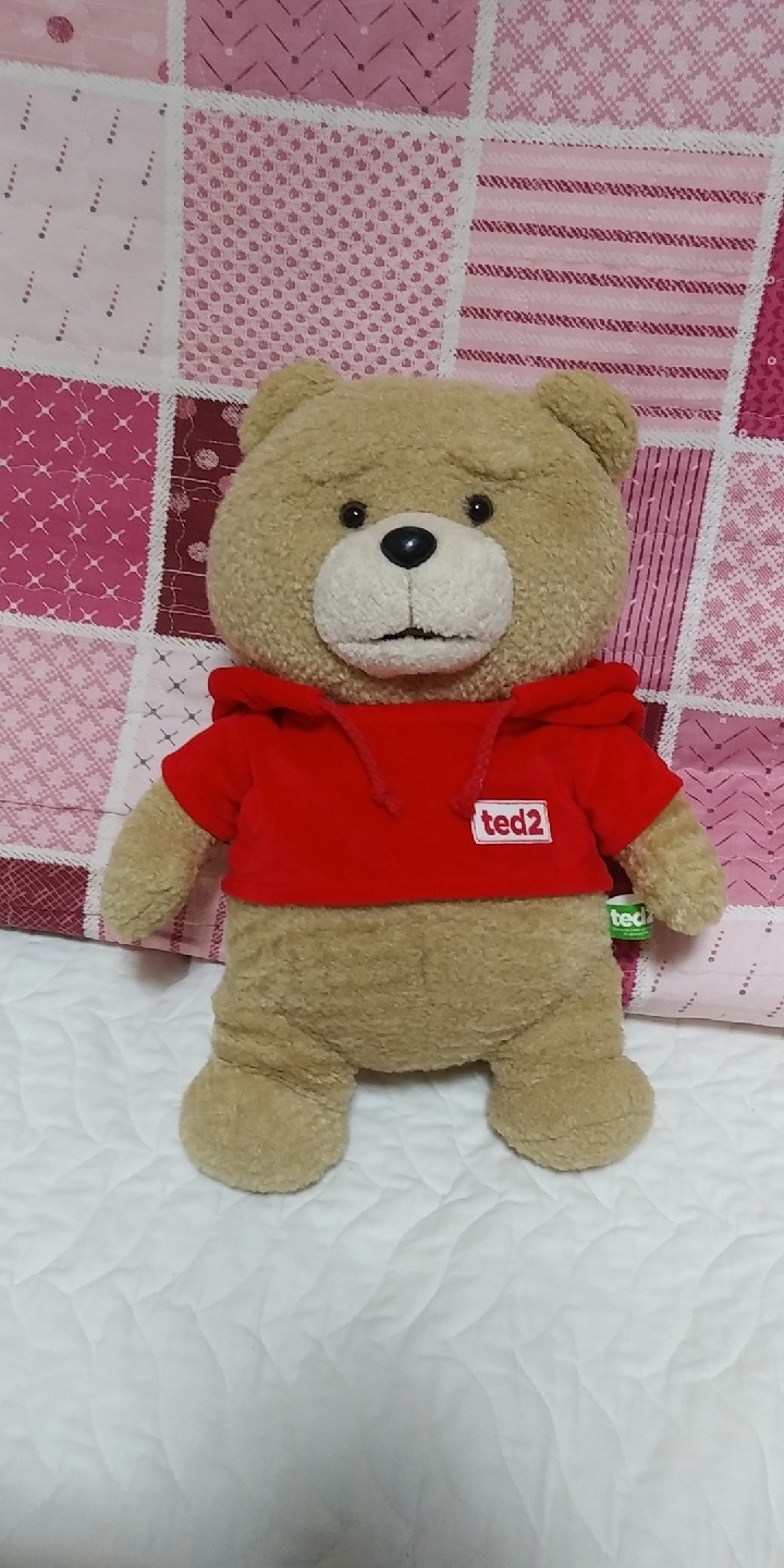 🐻19곰 테드🐻