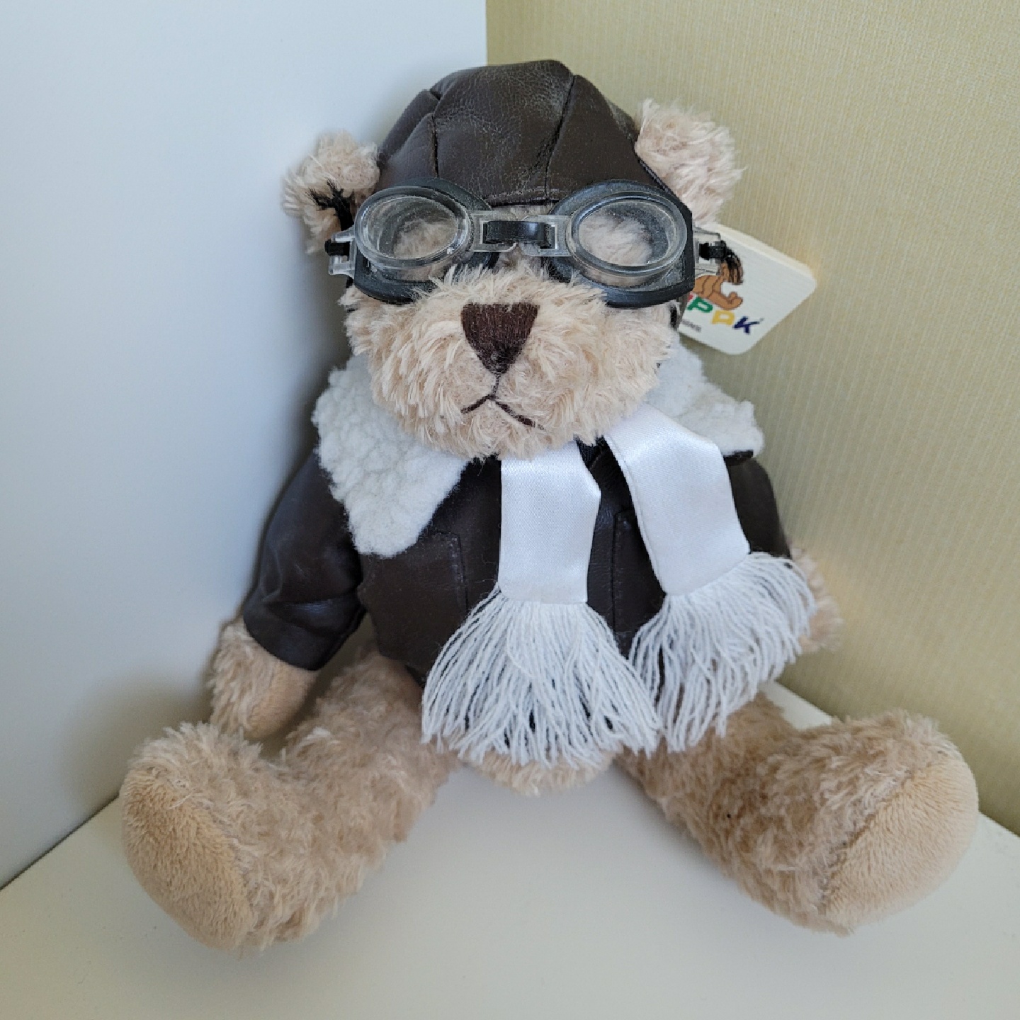 비행 곰돌이🛩🐻