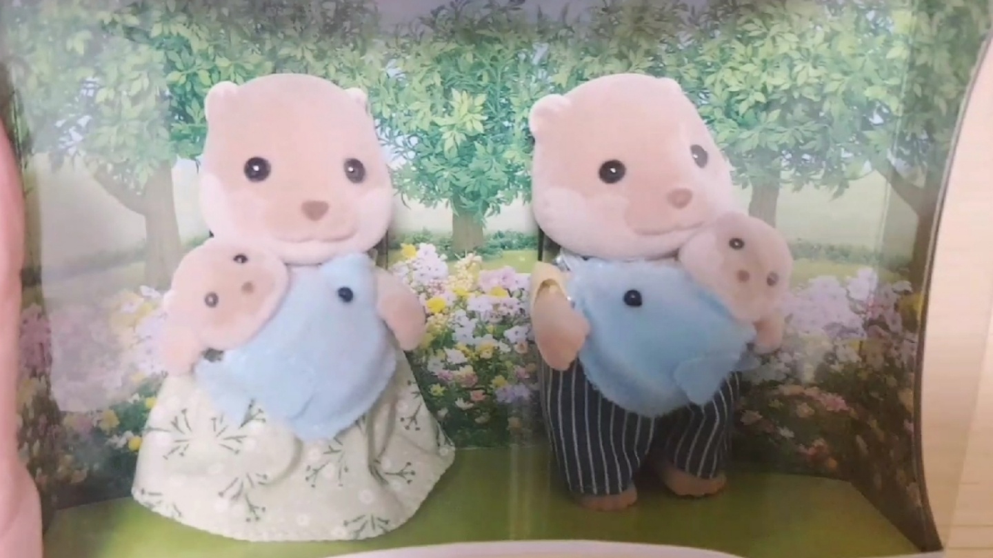 실바니안 수달가족