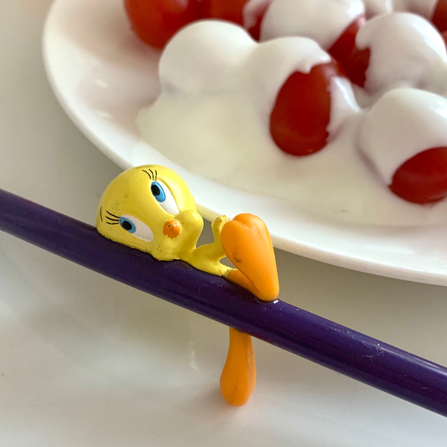 토마토와 요거트🤍