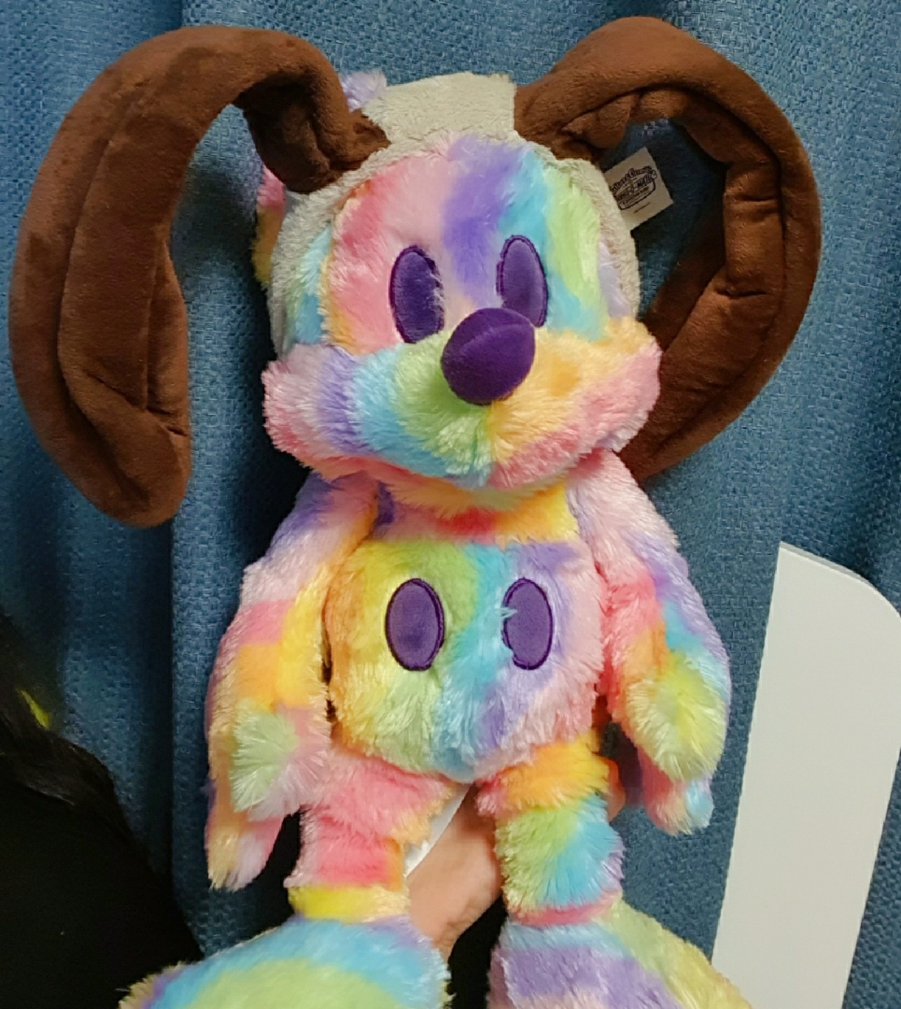 🐶그로밋키🌈🐭