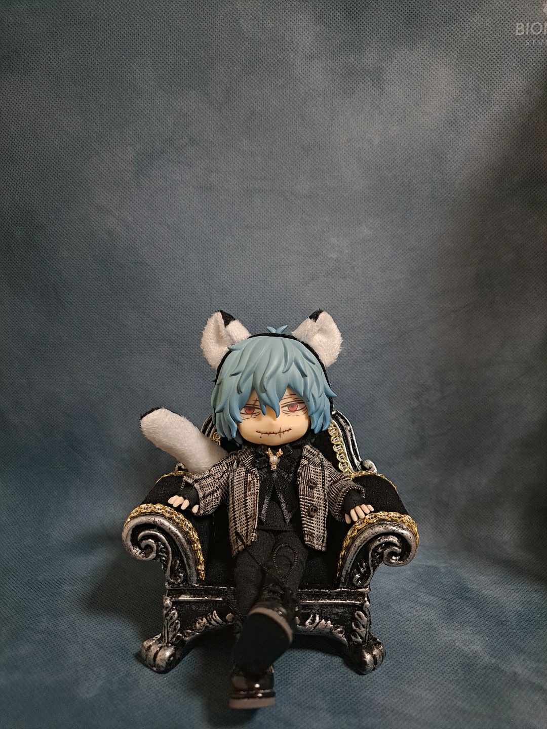 🐱