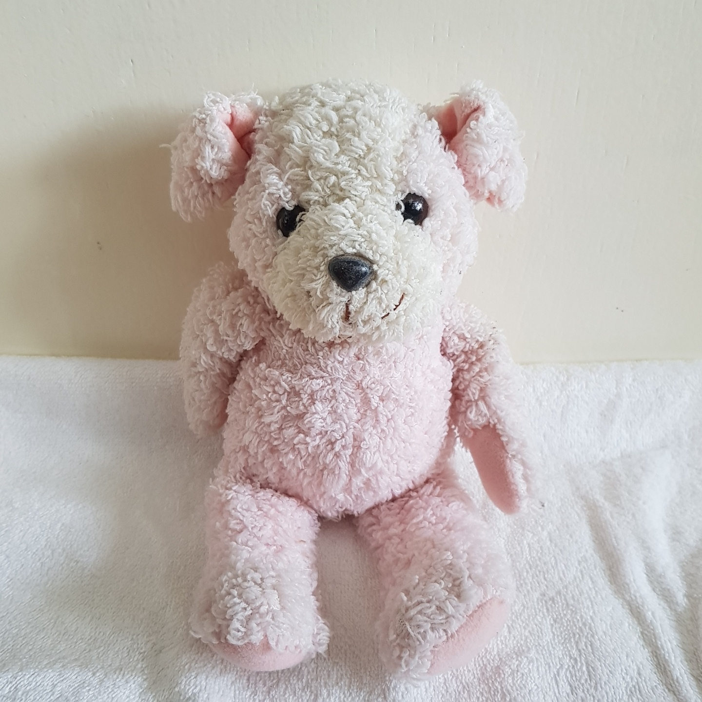 25년된 곰인형