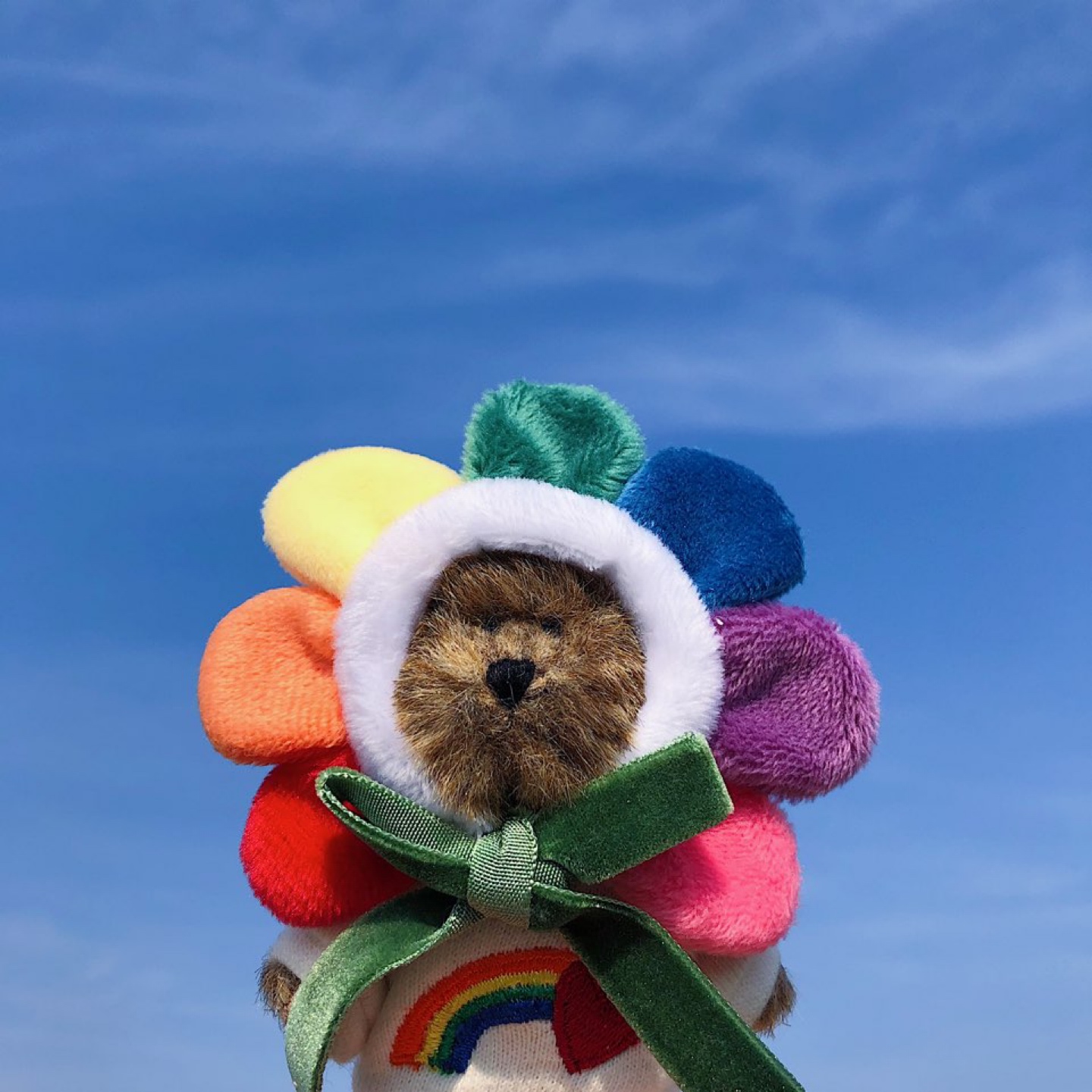 🌈오늘의 날씨 맑곰✨