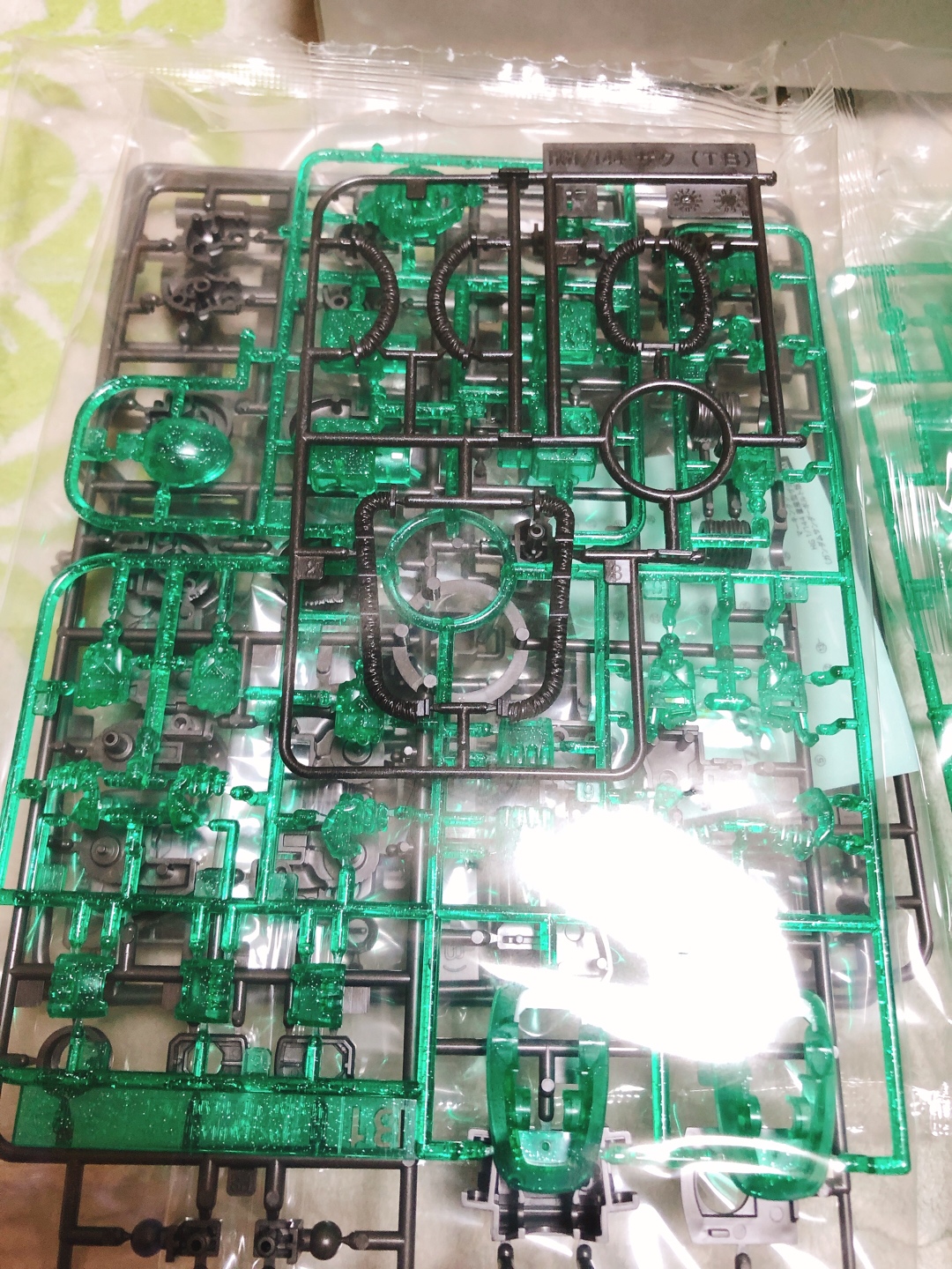 HG MS-06 Zaku II (Gundam Thunderbolt Ver.) (Clear)