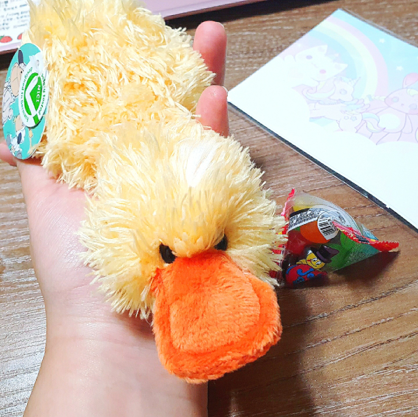 🦆오리인형