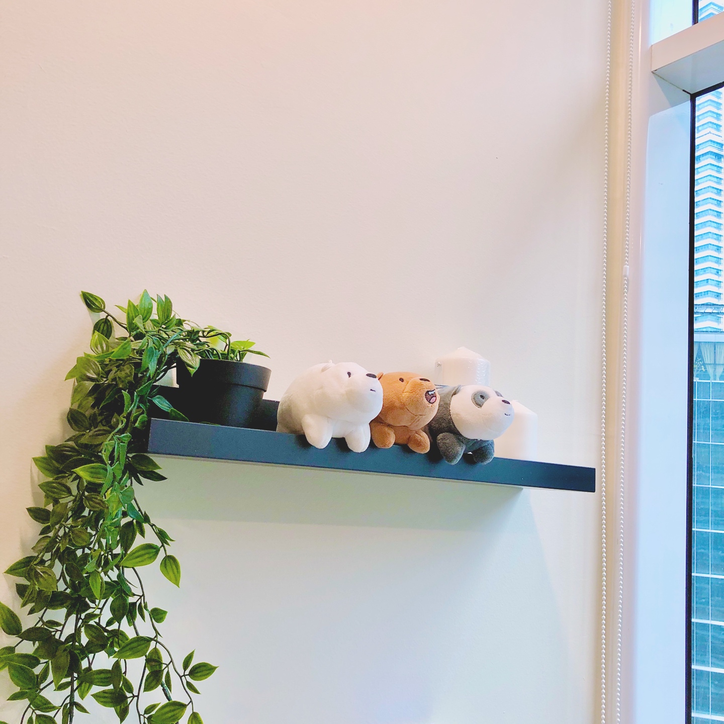 🐻‍❄️🐻🐼