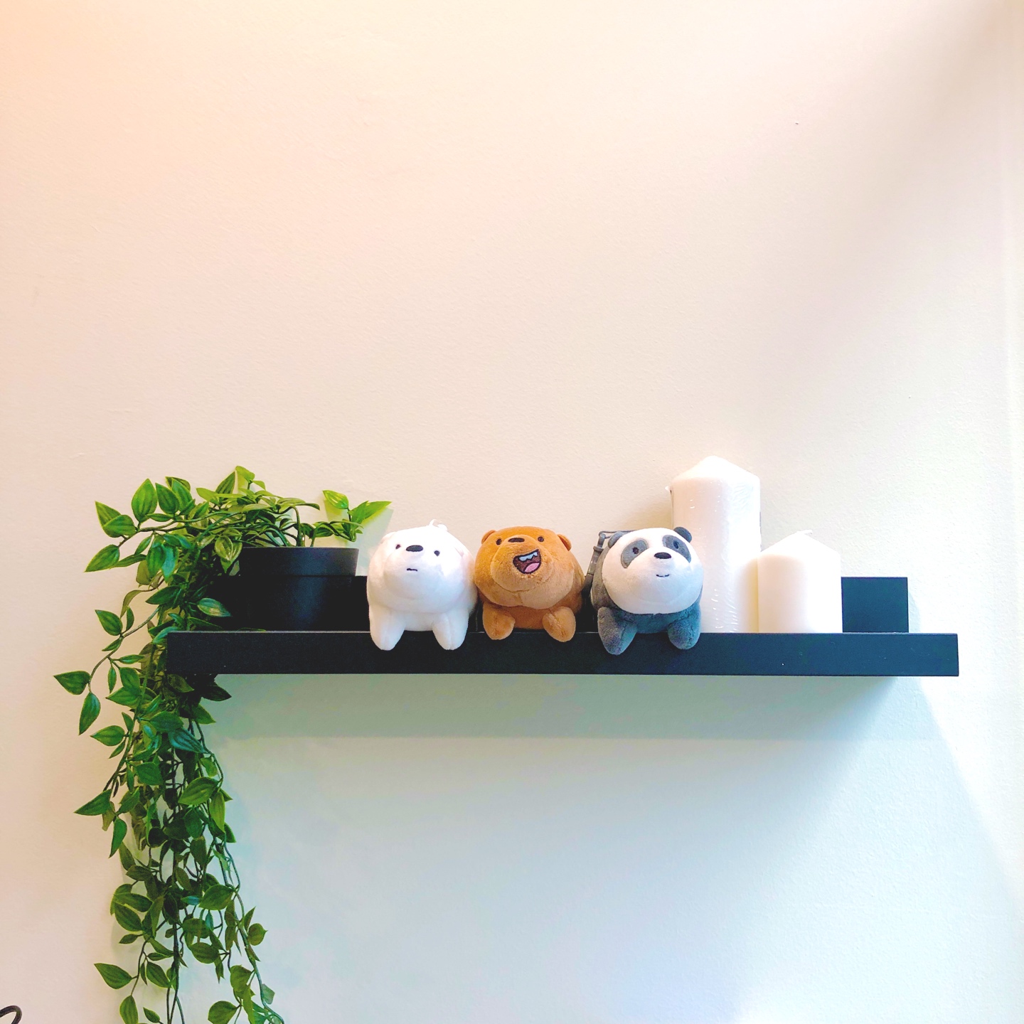 🐻‍❄️🐻🐼