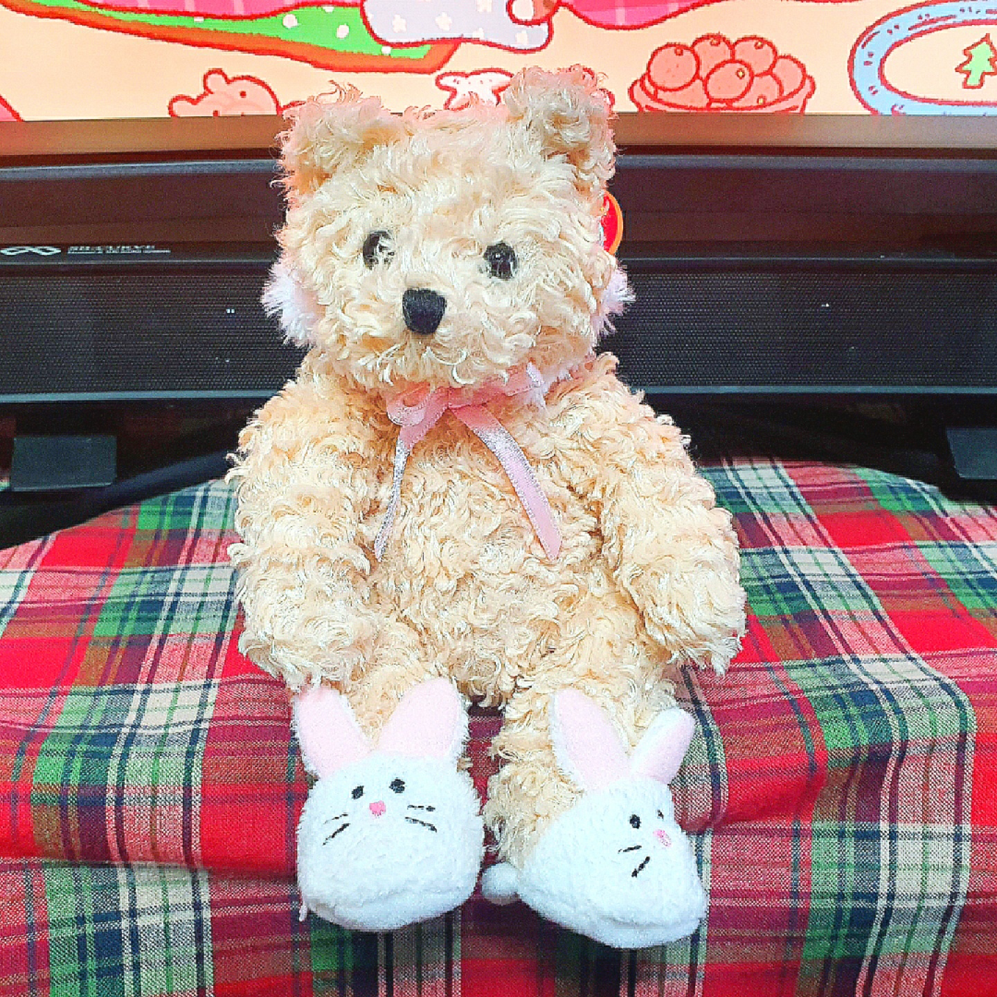 🐰래빗 테디베어🐻