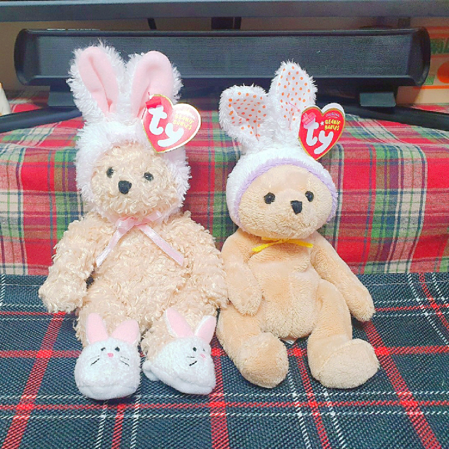 🐰래빗 테디베어🐻