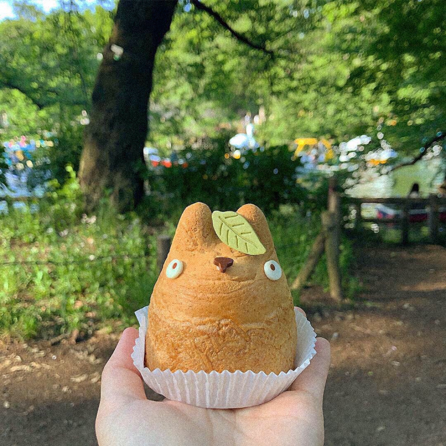 시로히게에서 산 토토로 슈크림🧁