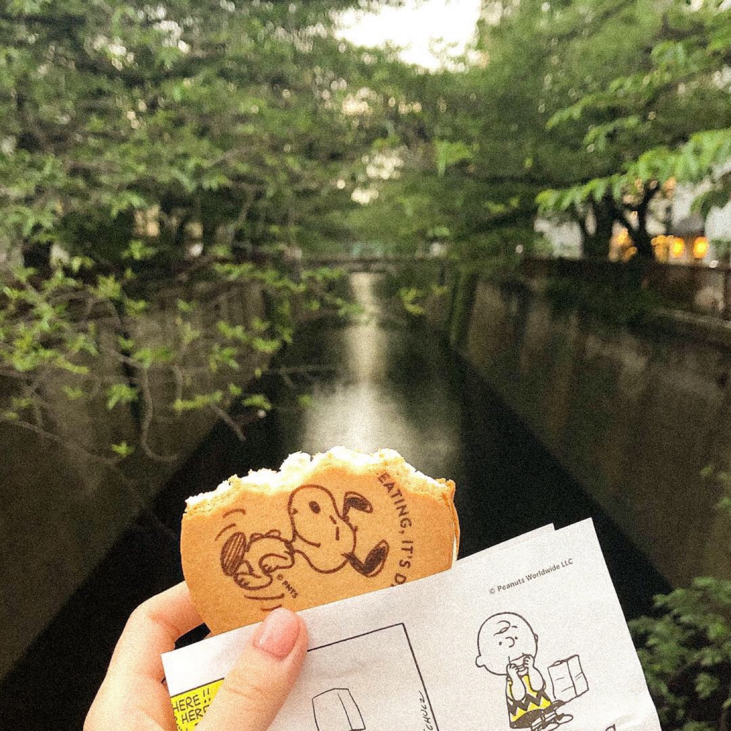 나카메구로 피너츠카페🧁