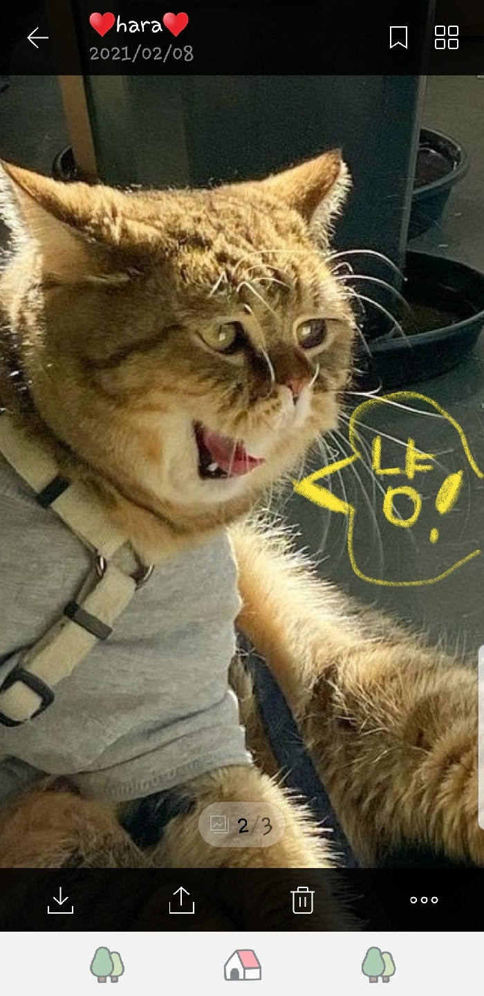 제목 없음