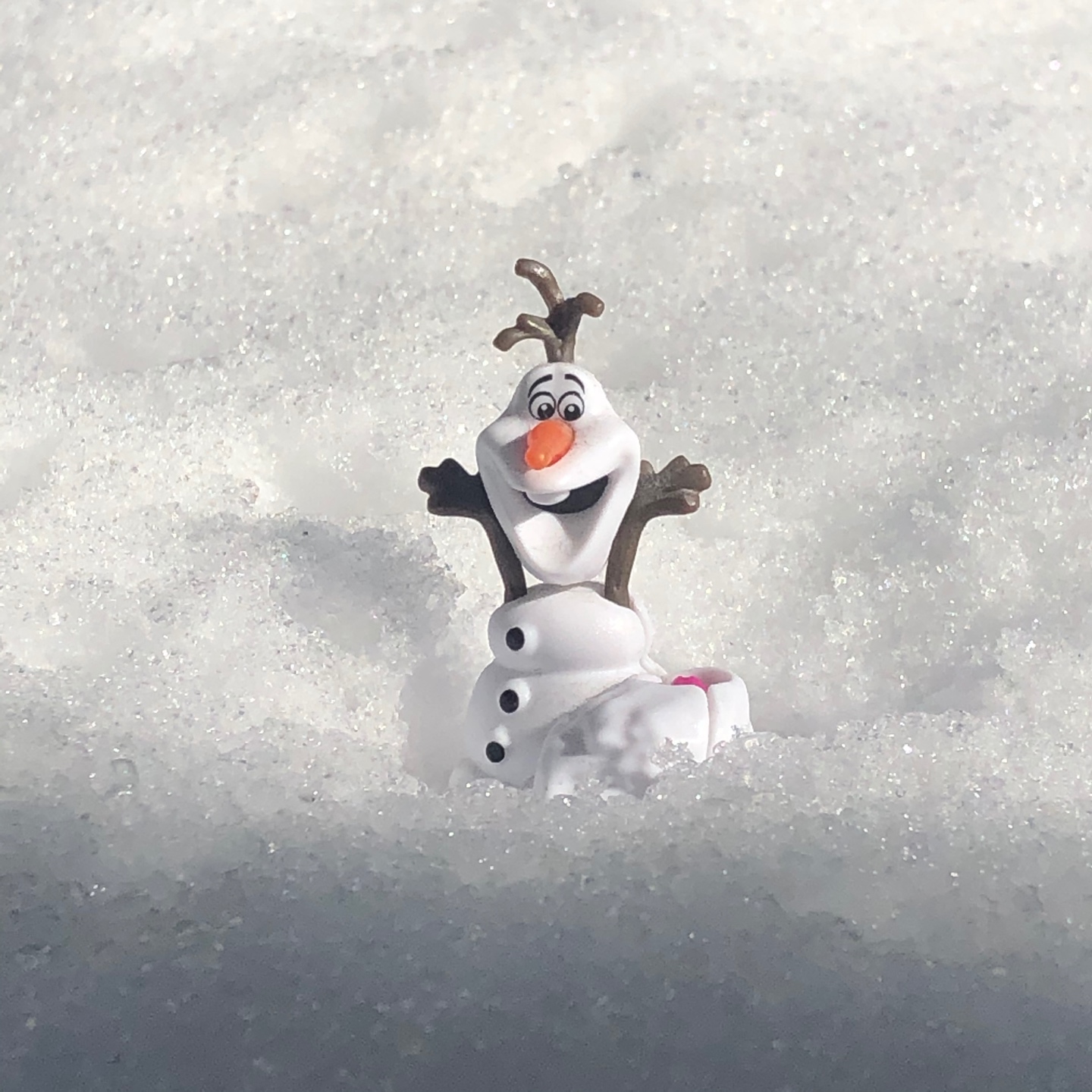 ☃️궁금한게 많은 올라프☃️
