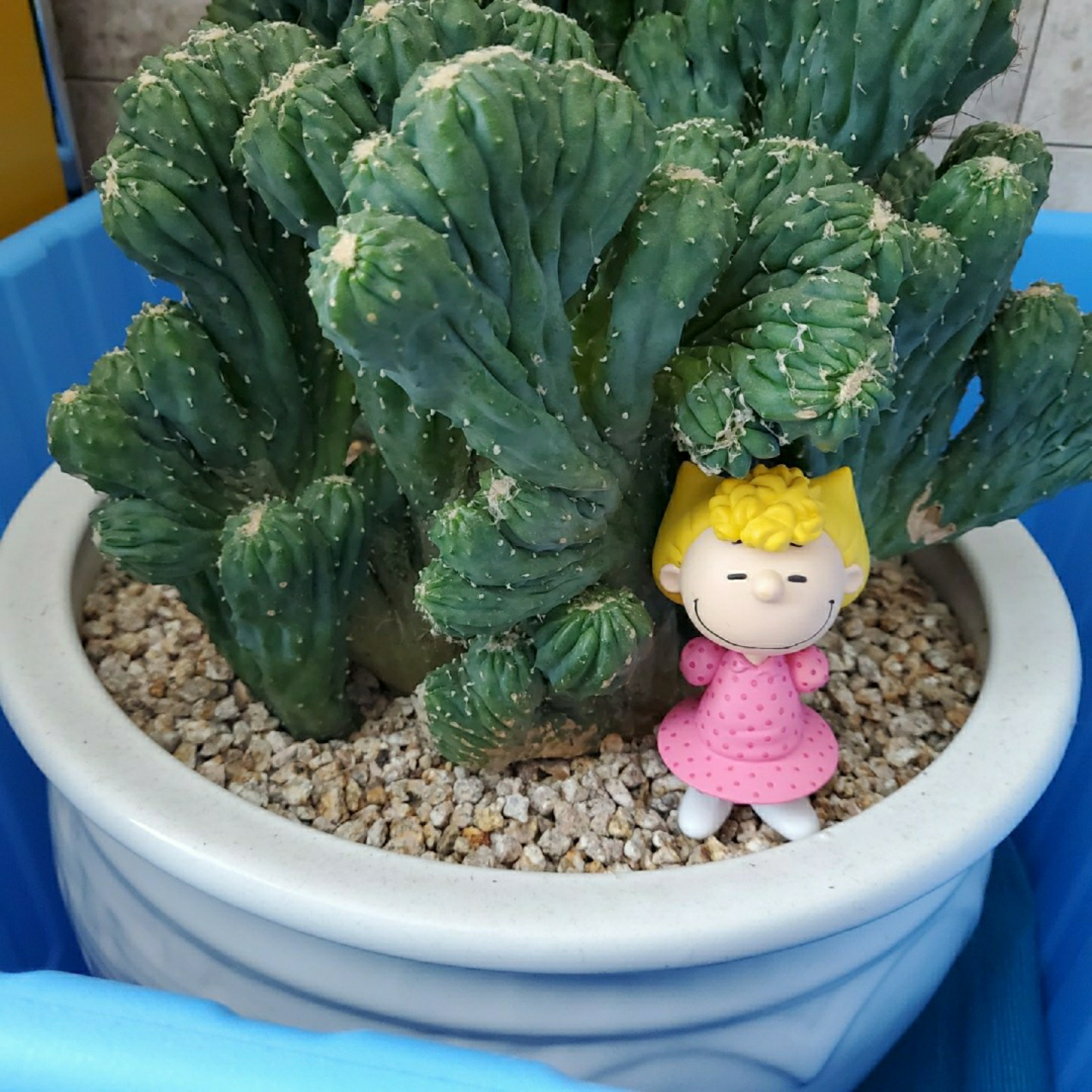 제목 없음