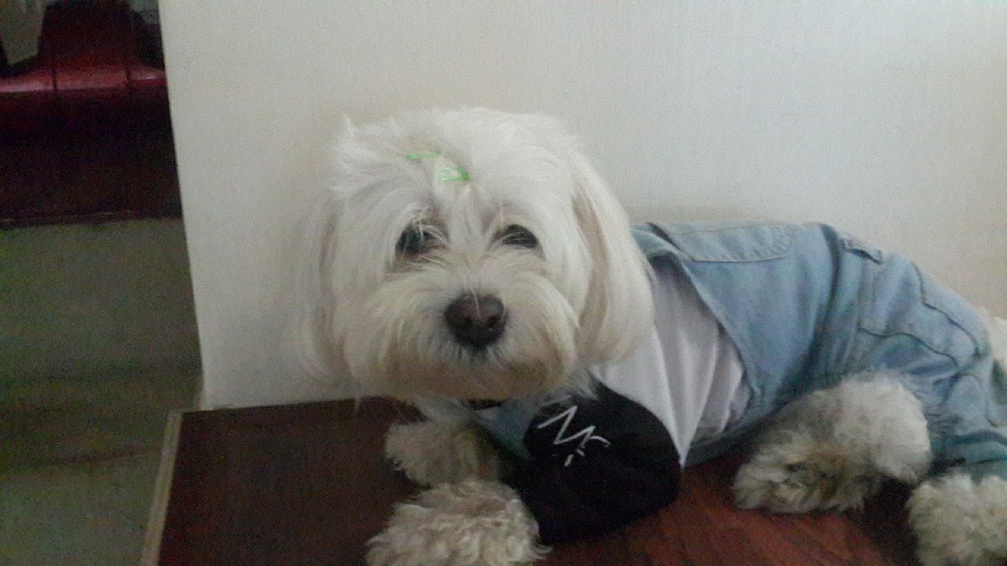 루키