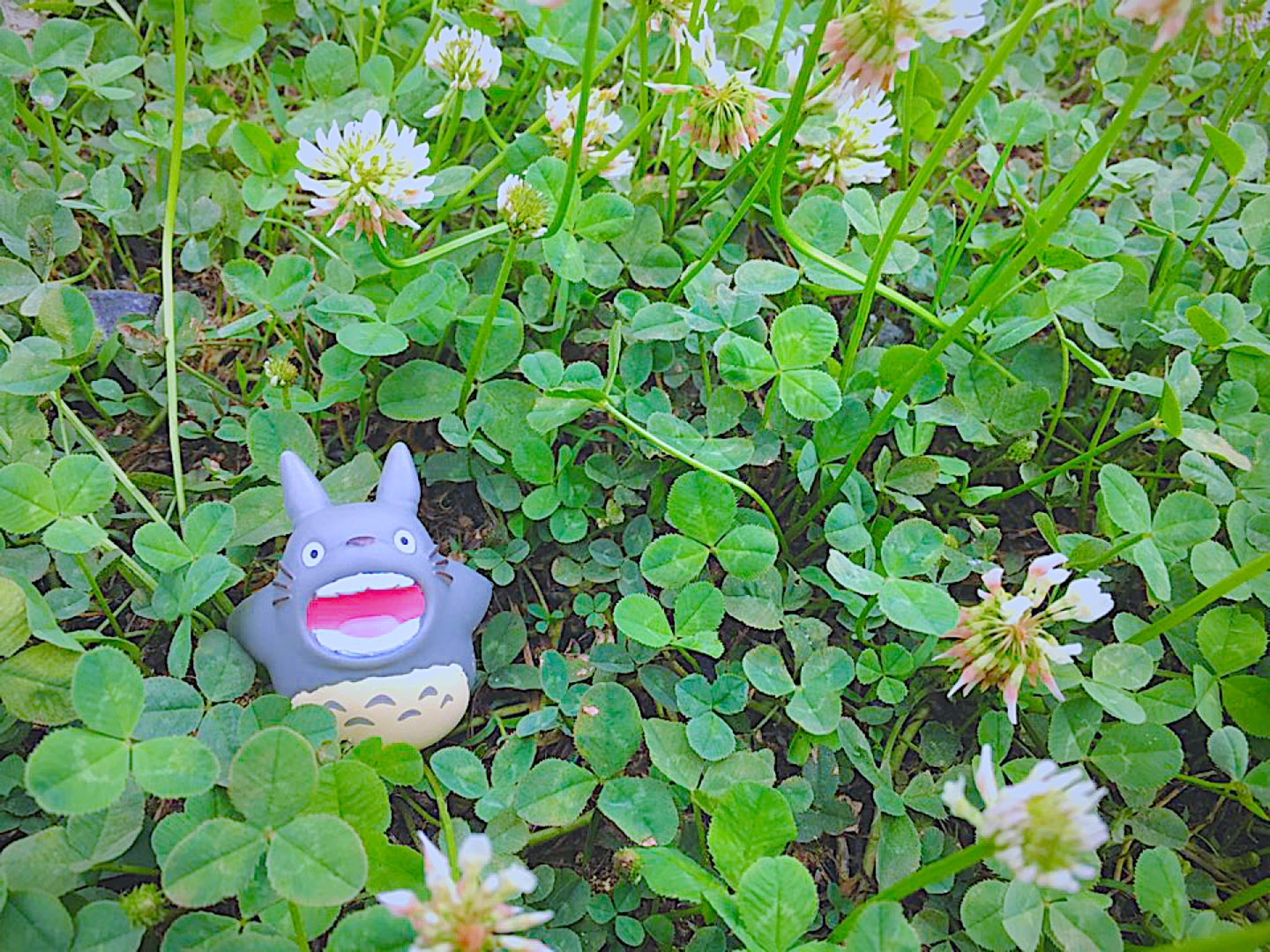 네잎클로버를 찾아라 🍀
