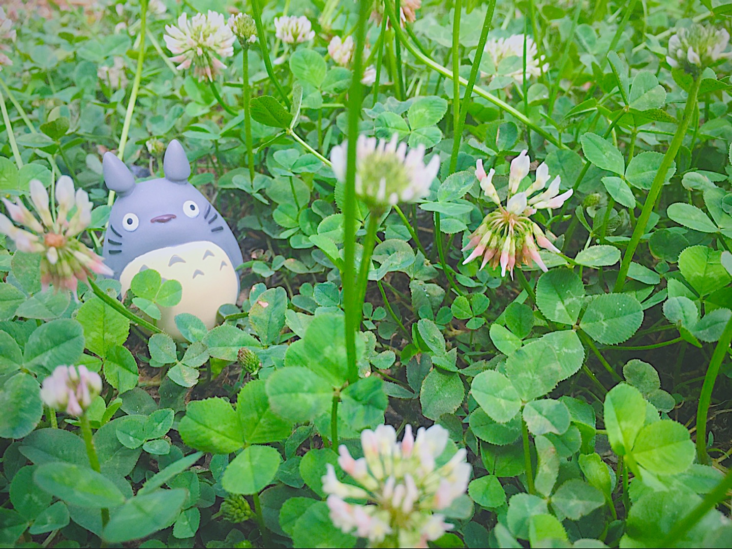 네잎클로버를 찾아라 🍀
