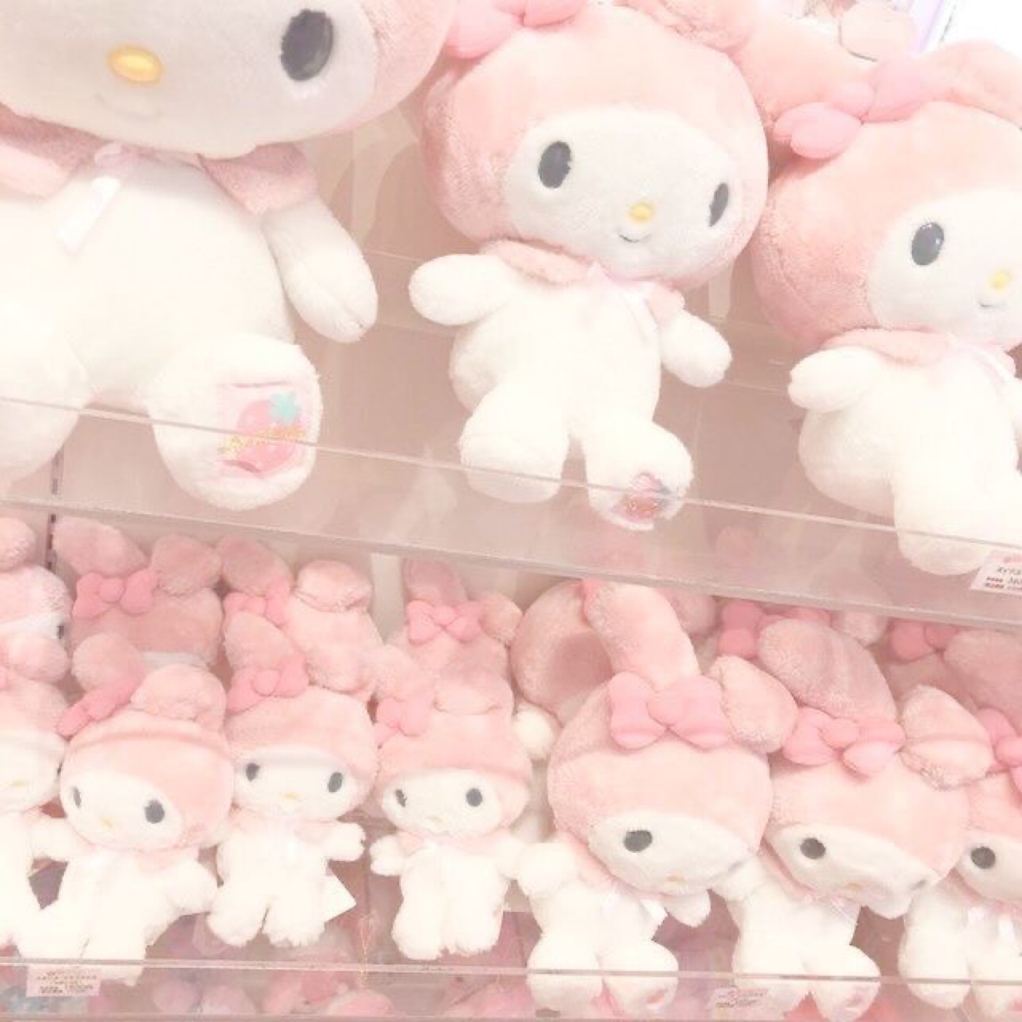 리본 마멜 가지고 싶어!!