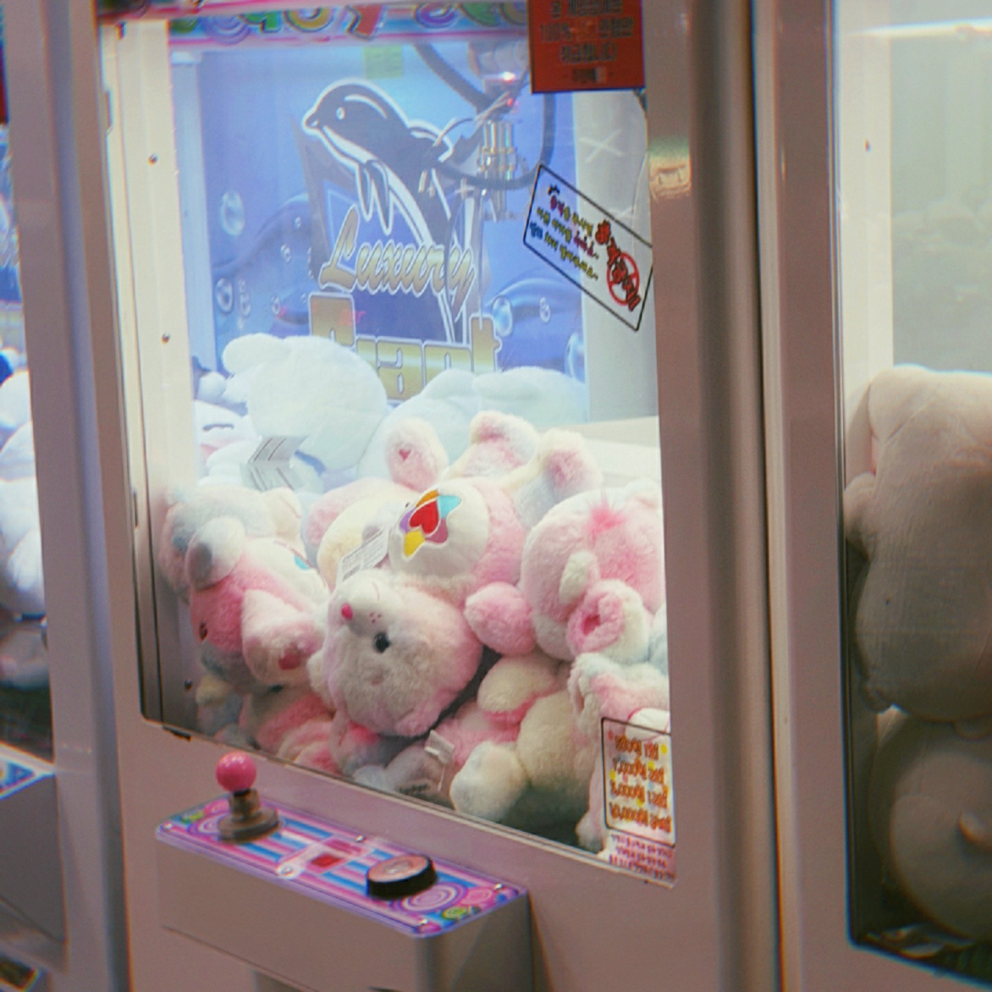 뽑기 속 케어베어🐻🌟