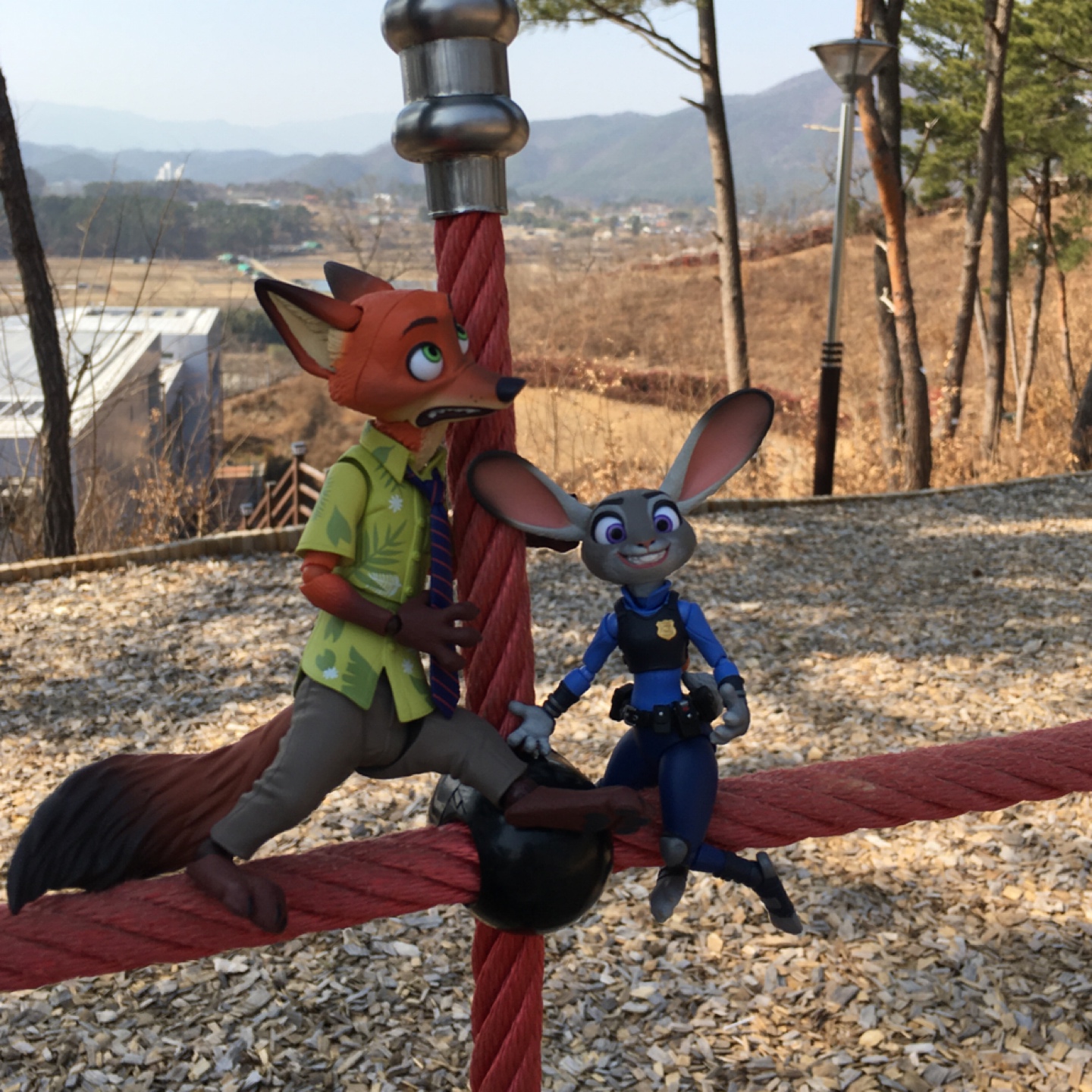 동네 뒷동산