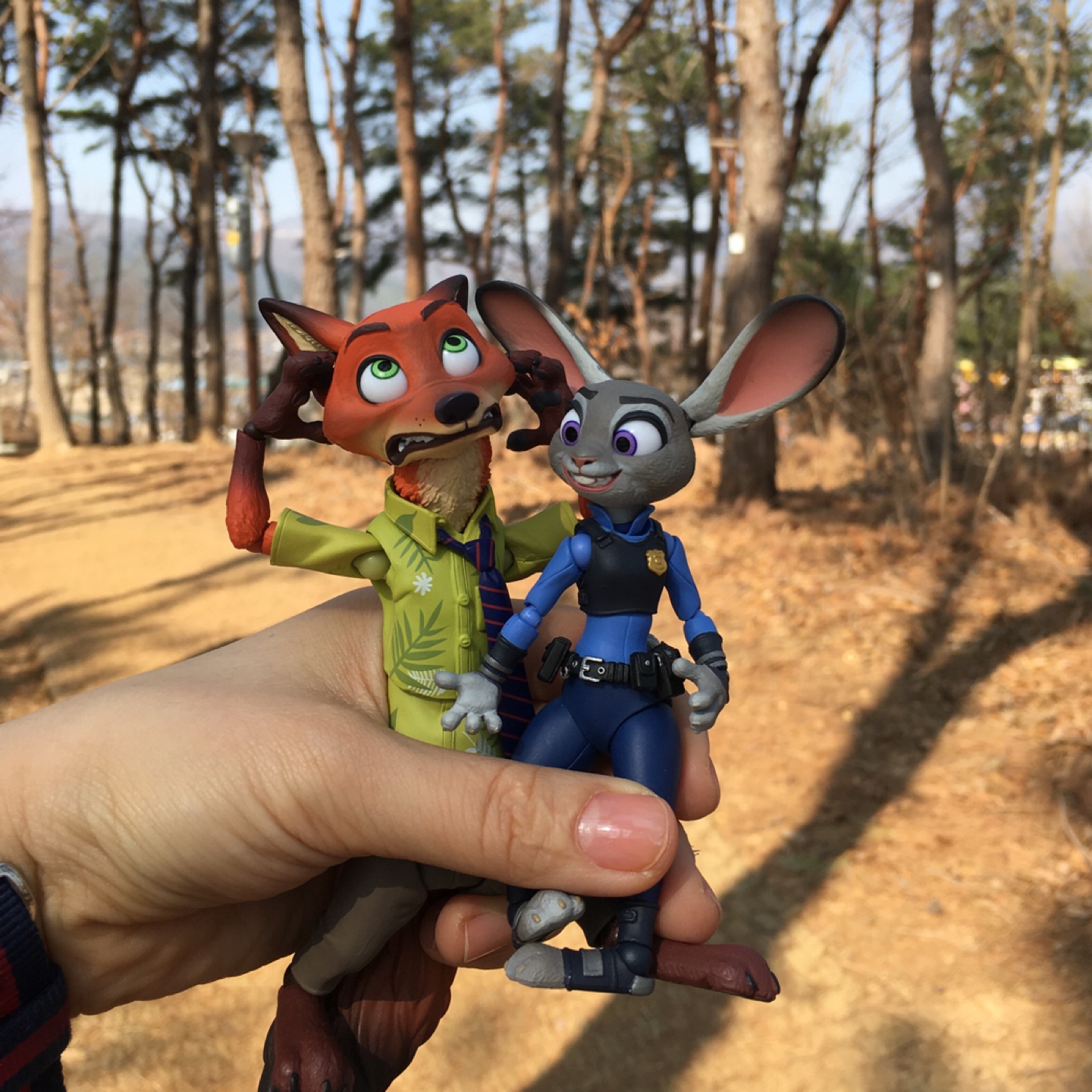 동네 뒷동산