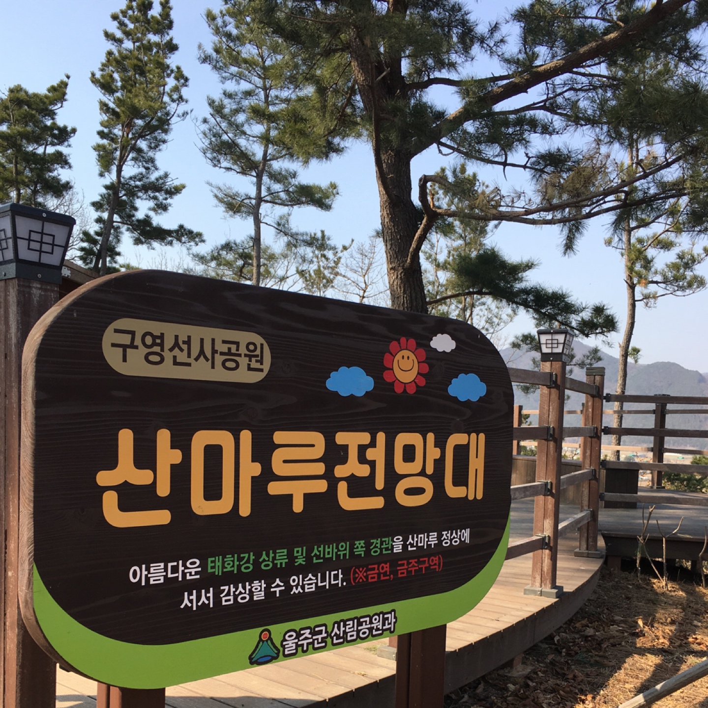 동네 뒷동산