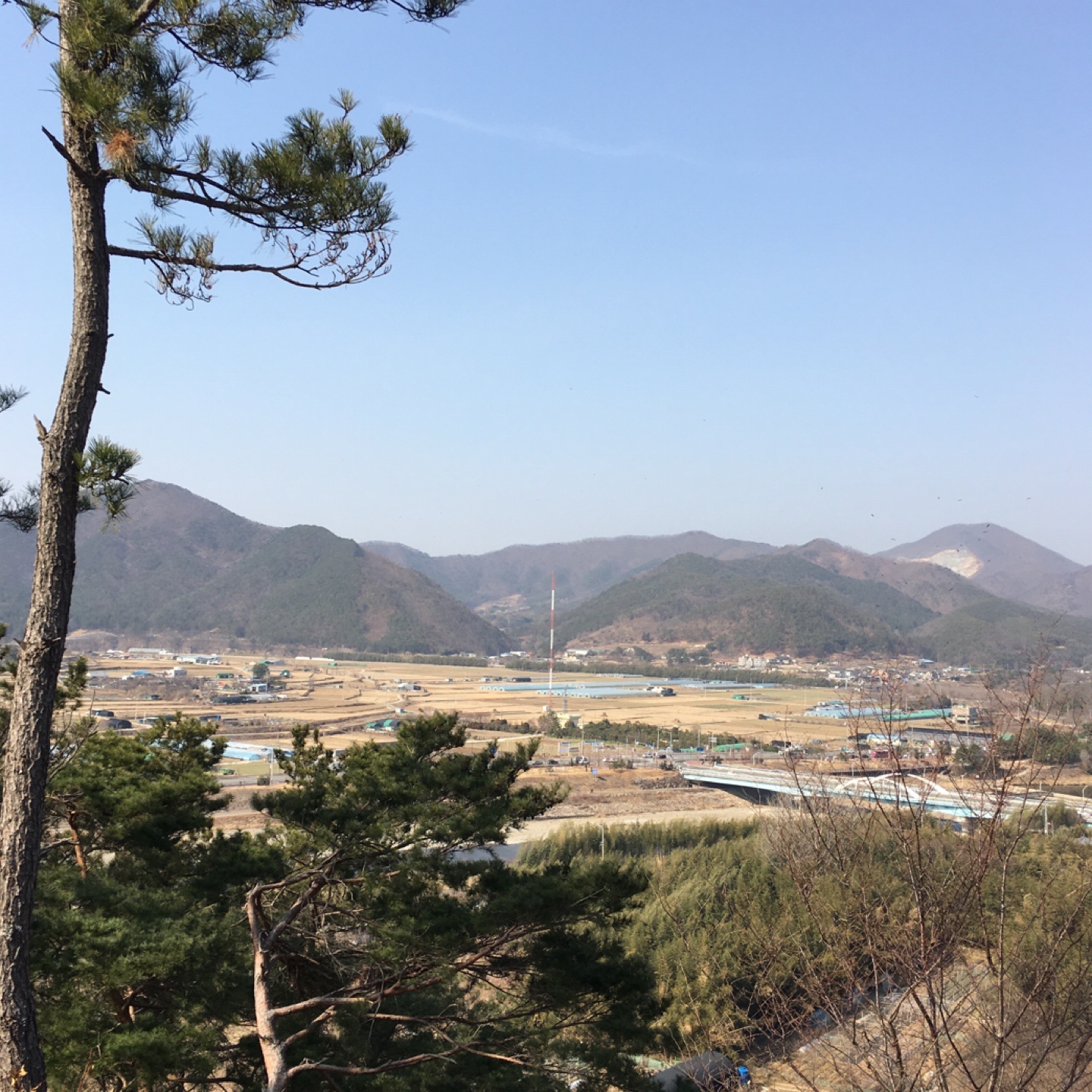 동네 뒷동산