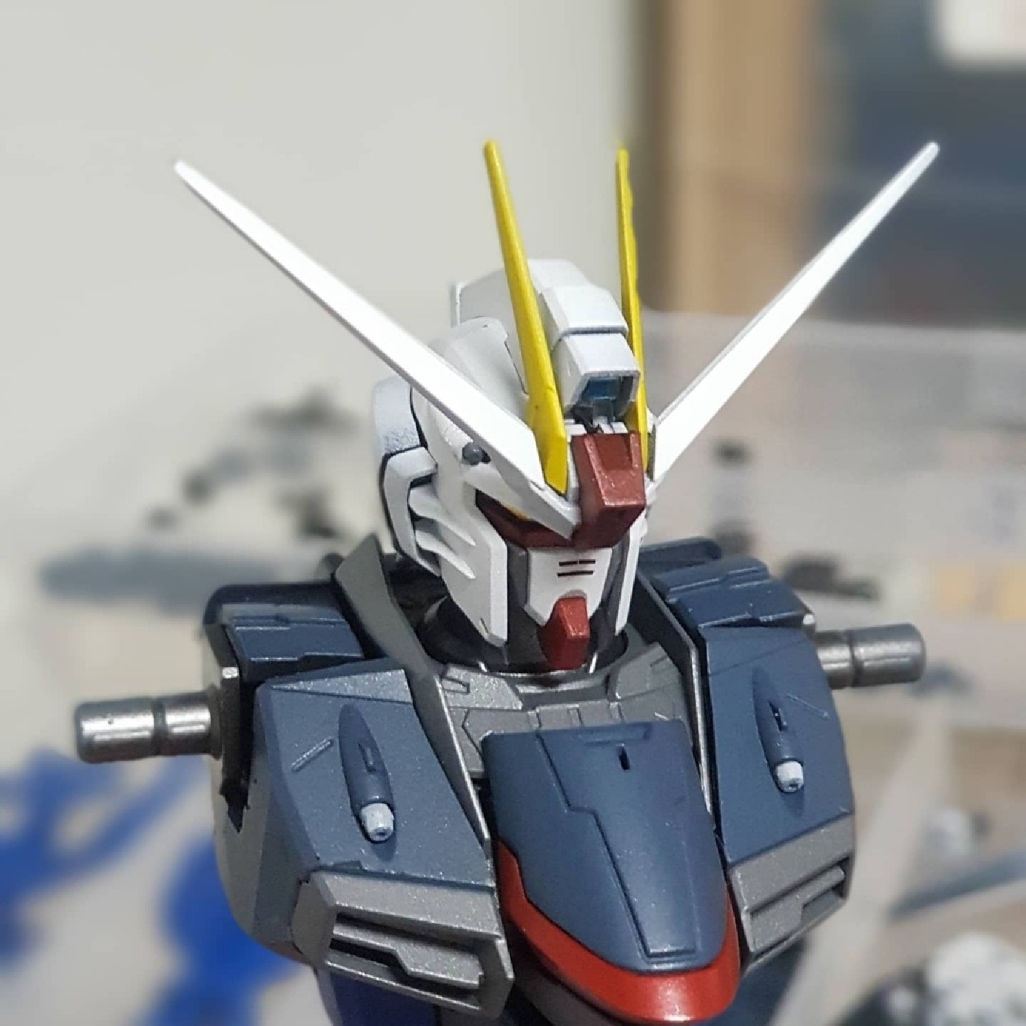 FREEDOM GUNDAM [MG]