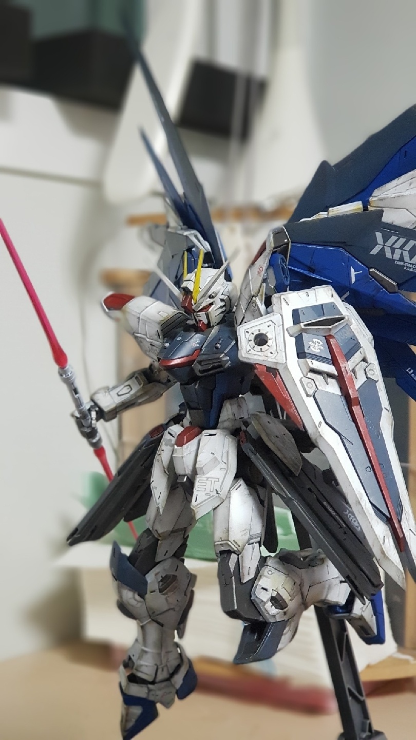 FREEDOM GUNDAM [MG]