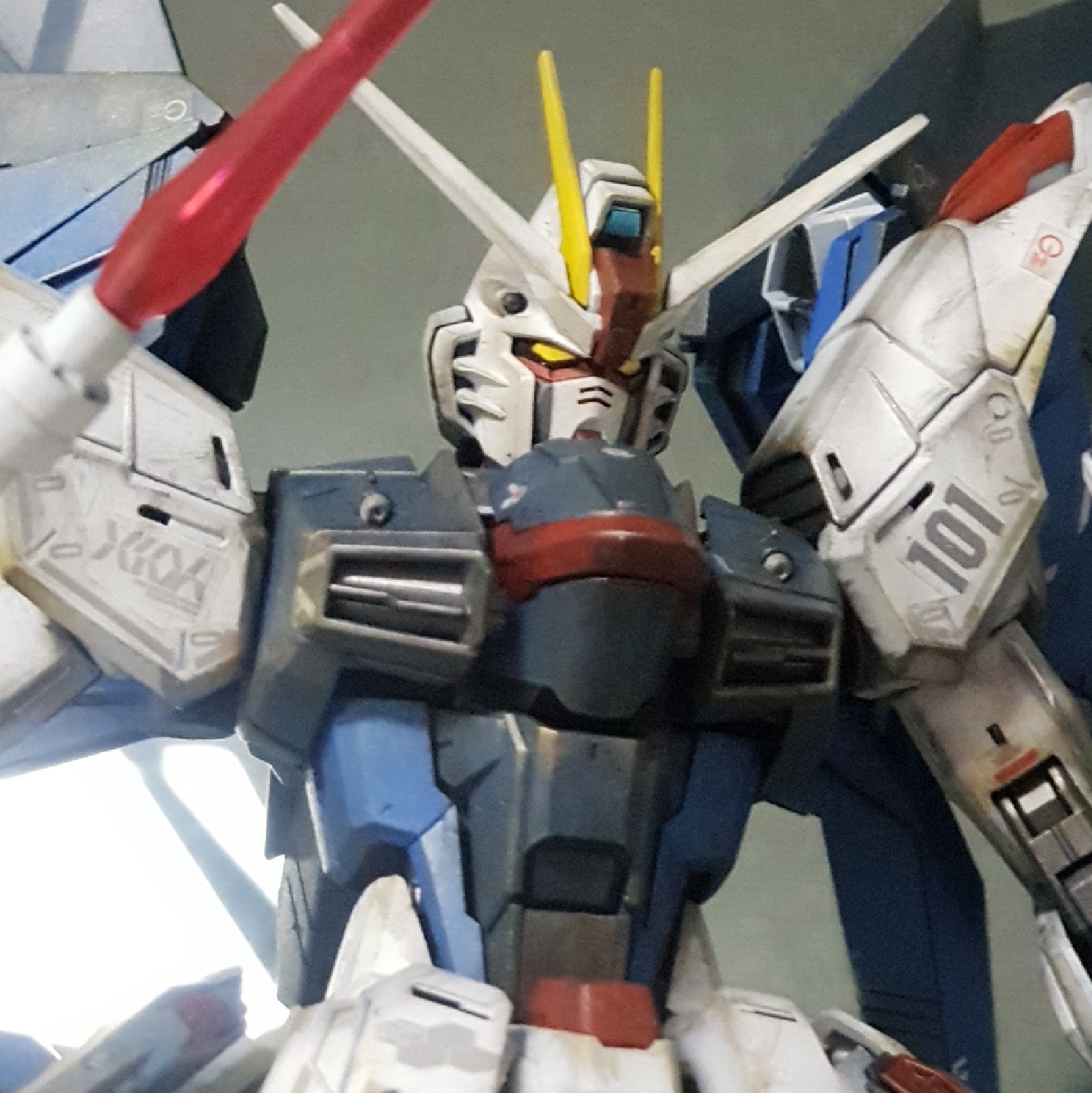 FREEDOM GUNDAM [MG]