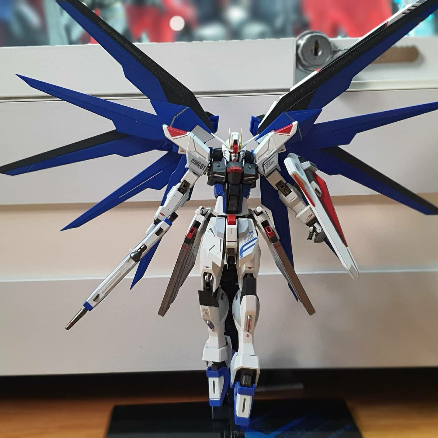 FREEDOM