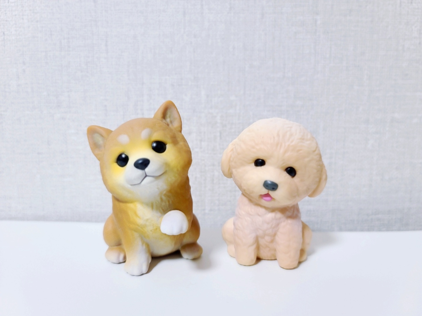 손 위의 친구들2_시바견과 토이 푸들🐶