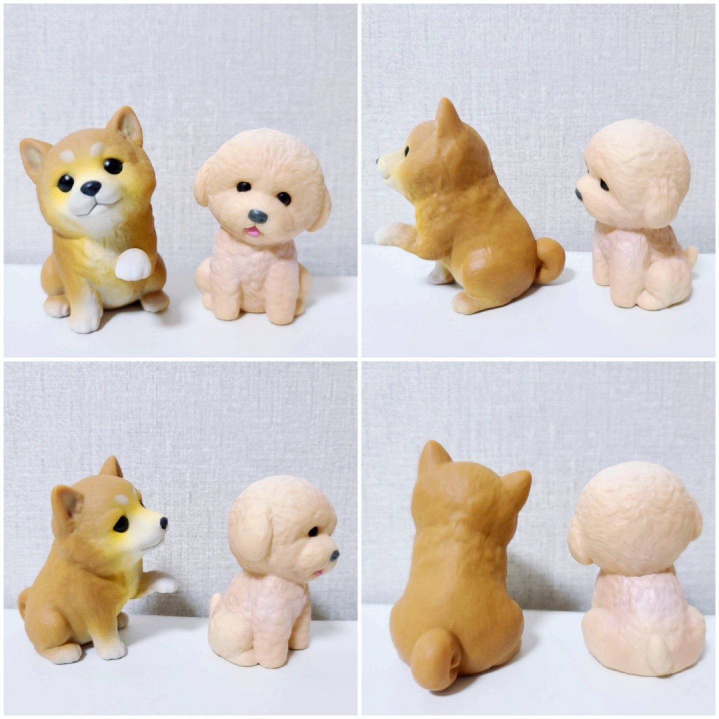 손 위의 친구들2_시바견과 토이 푸들🐶
