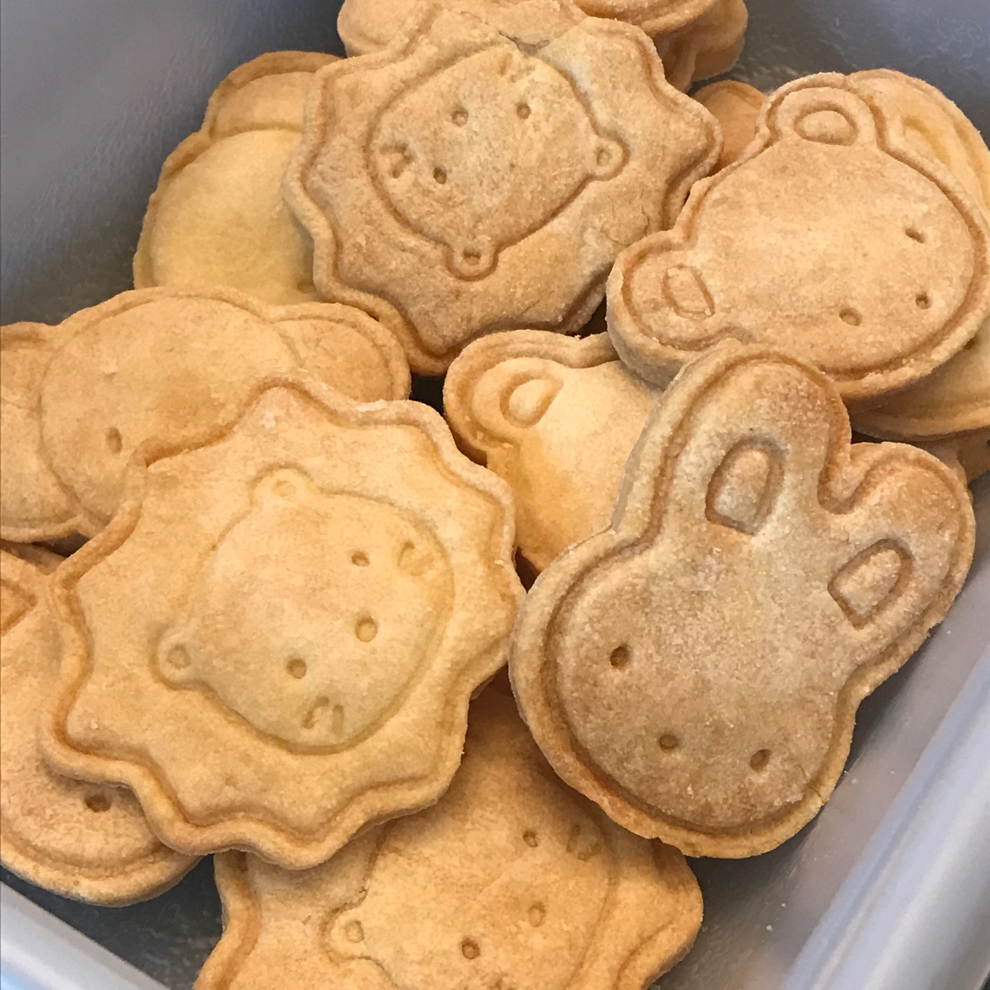 🍪동물 쿠키🍪