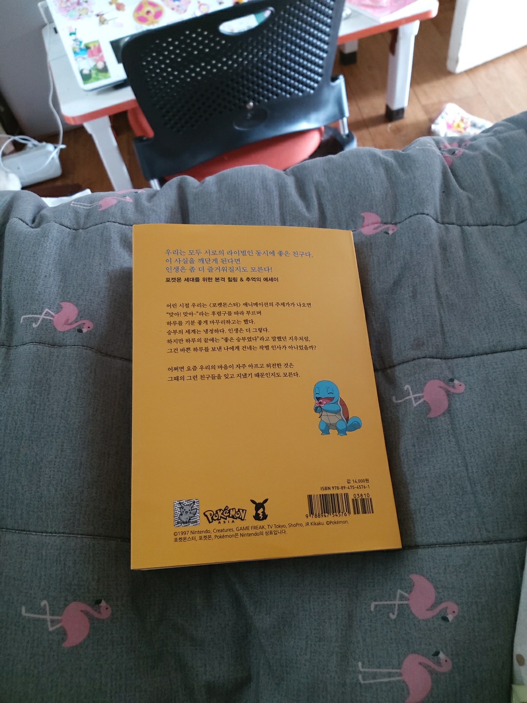 포켓몬 에세이