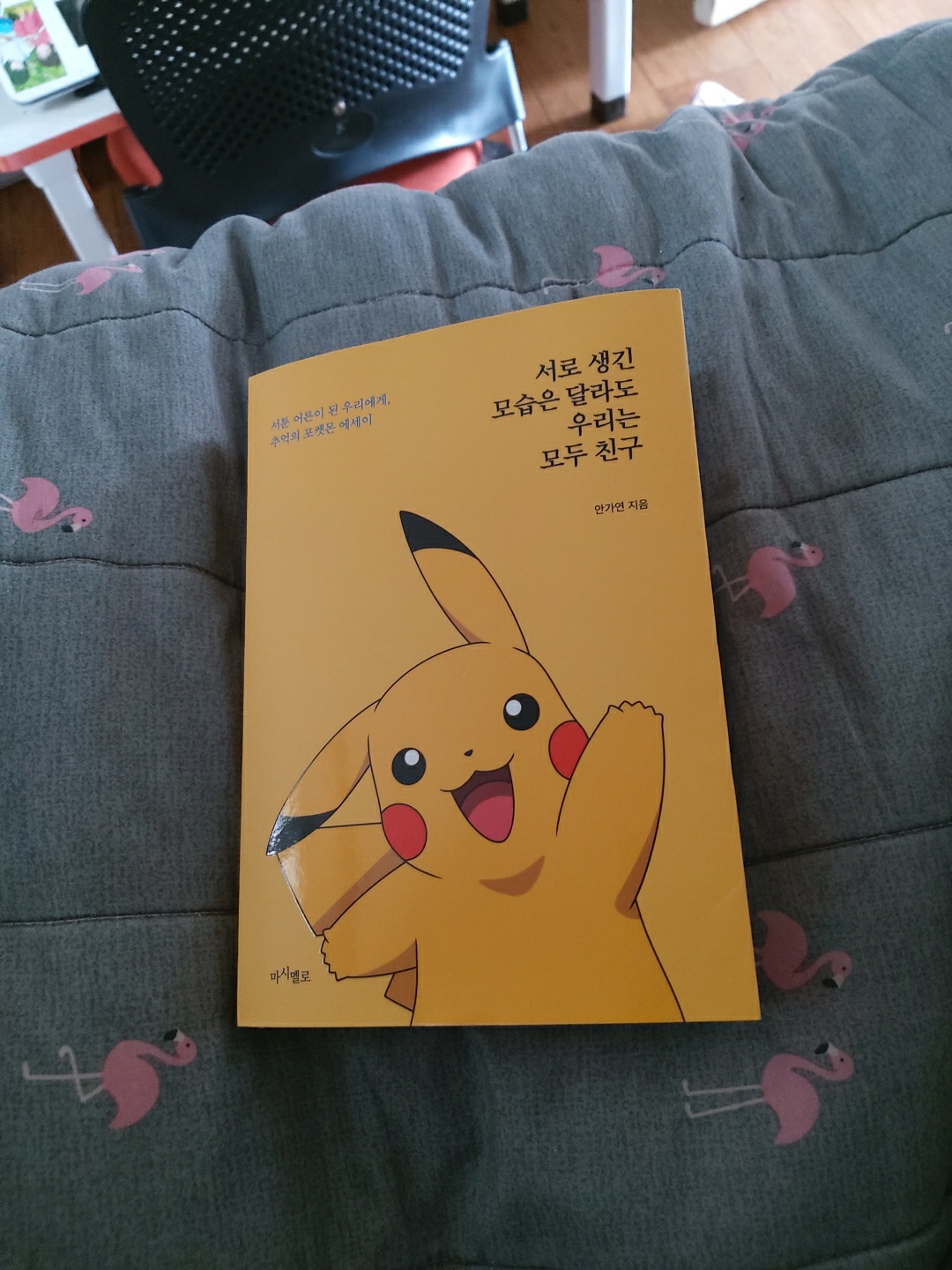 포켓몬 에세이