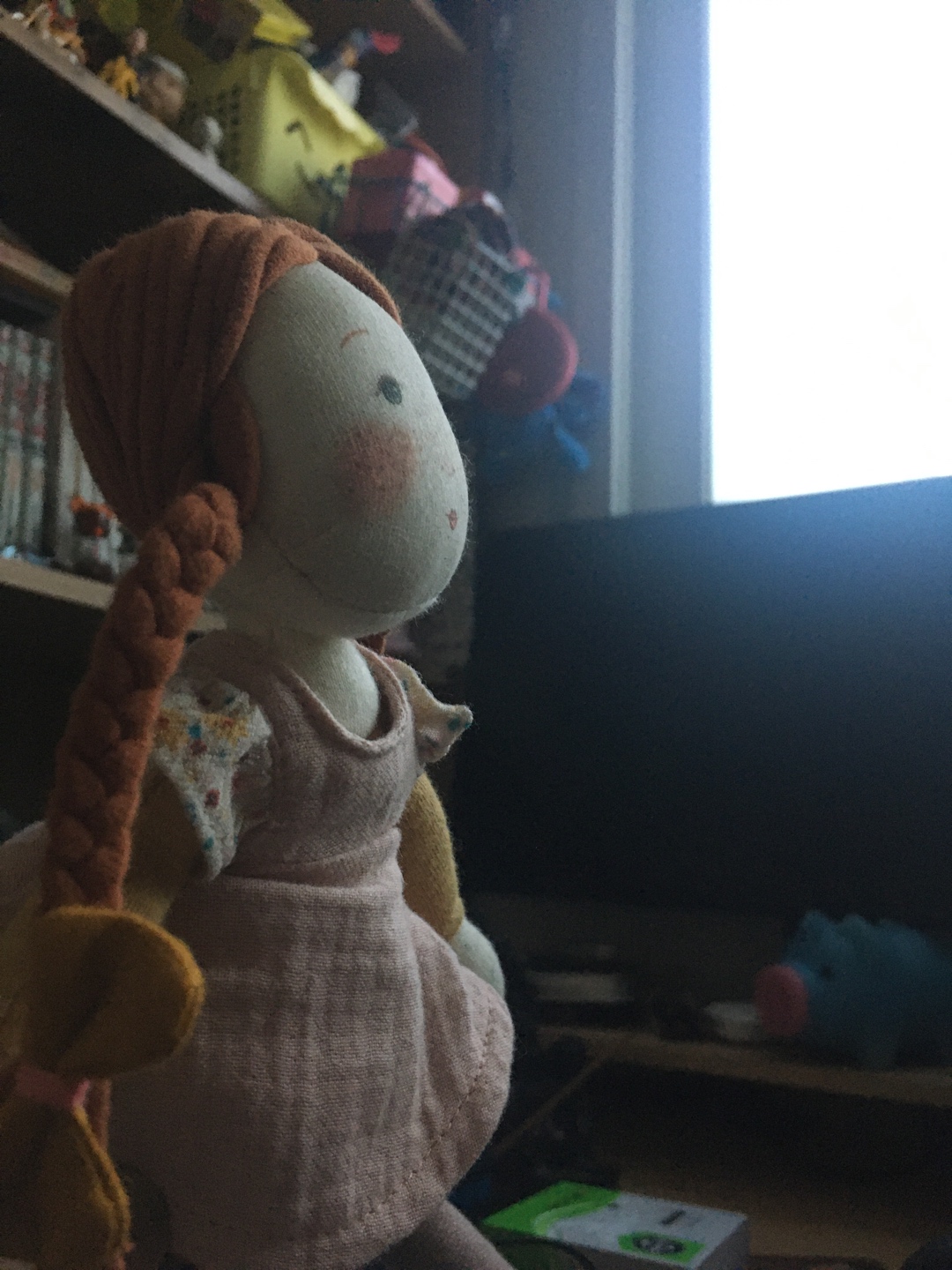 Moulin Roty