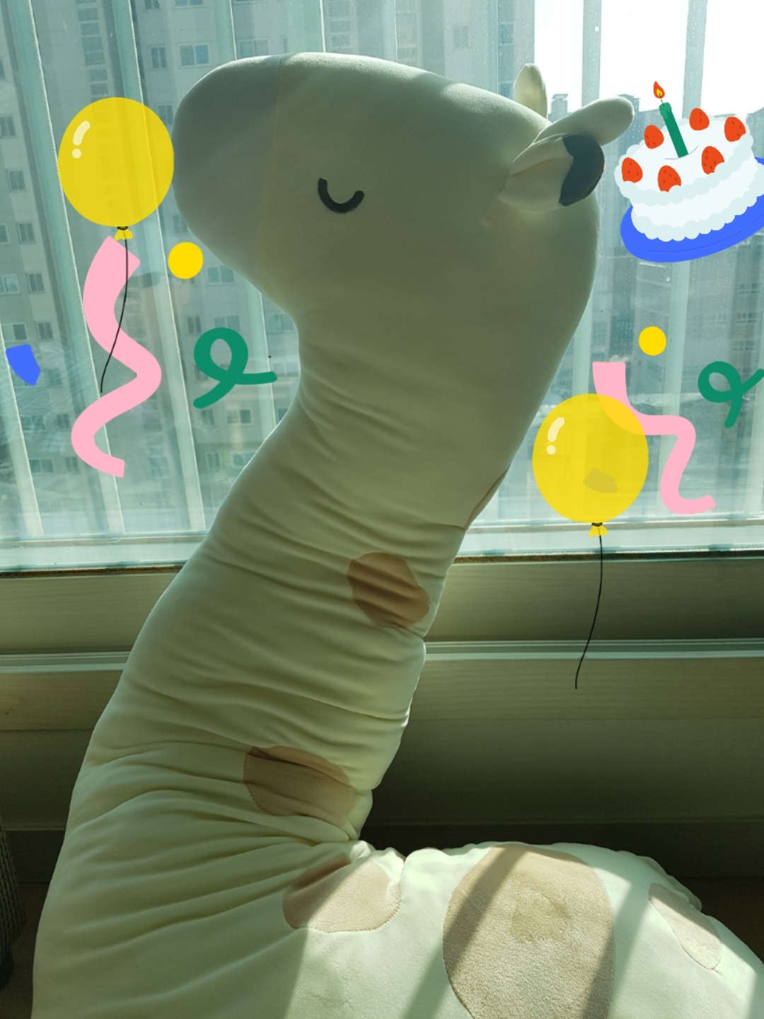 꿀잠(?) 기린 바디필로우!!