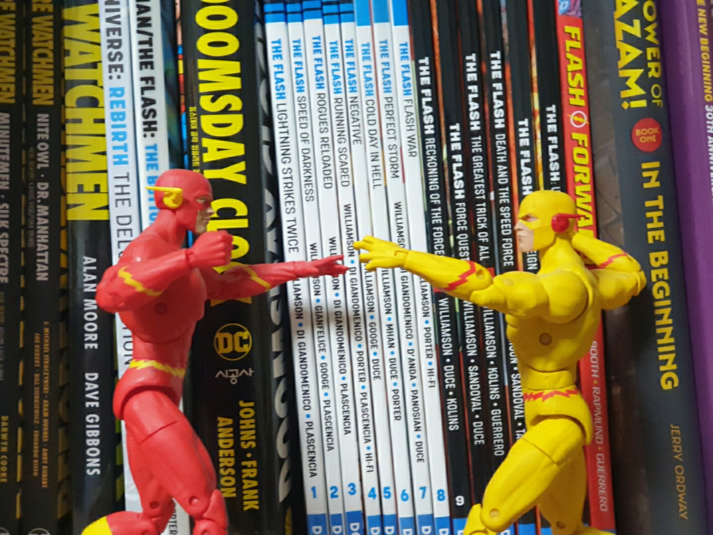 THE FLASH VS PROFESSOR ZOOM