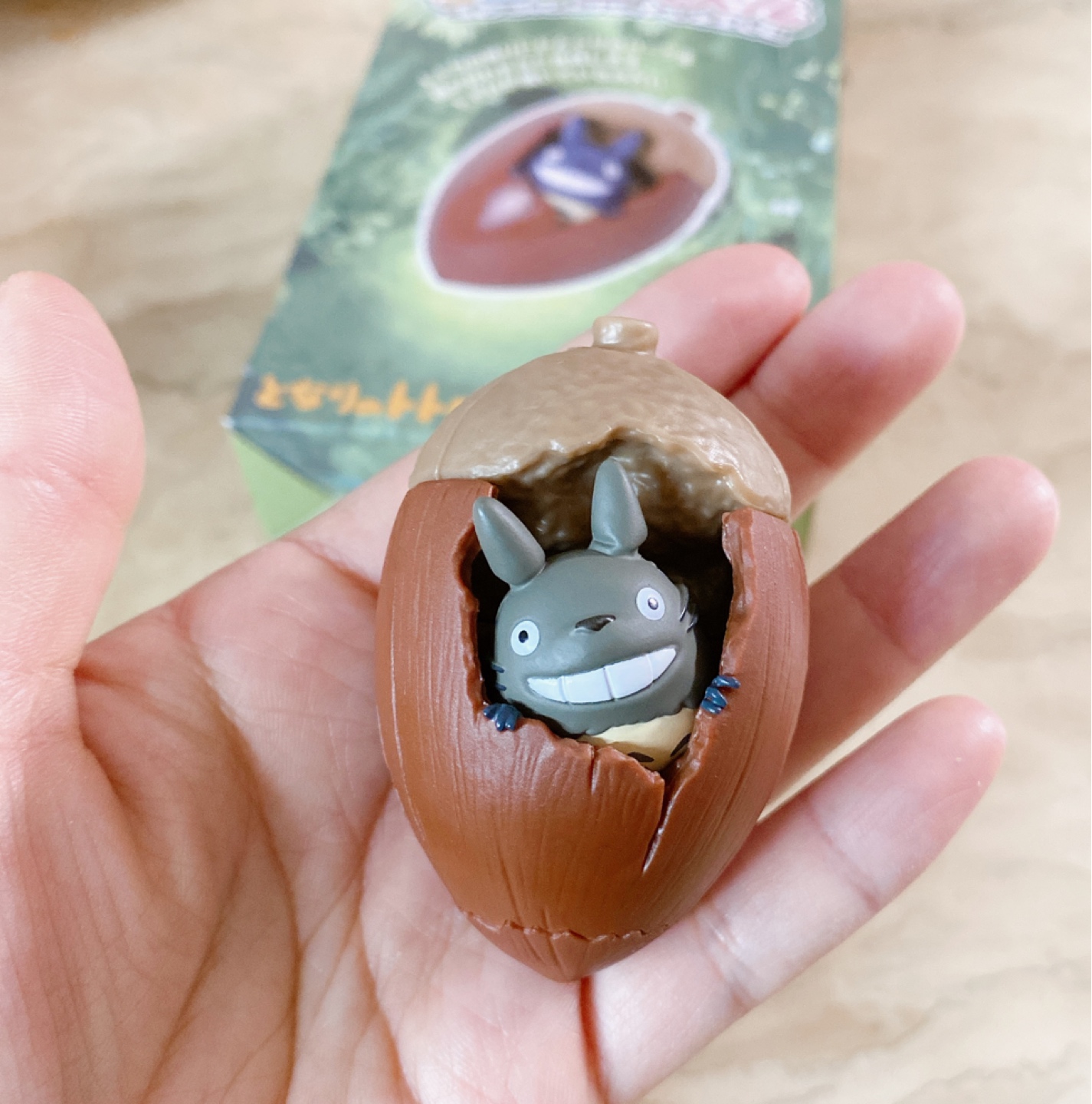 토토로